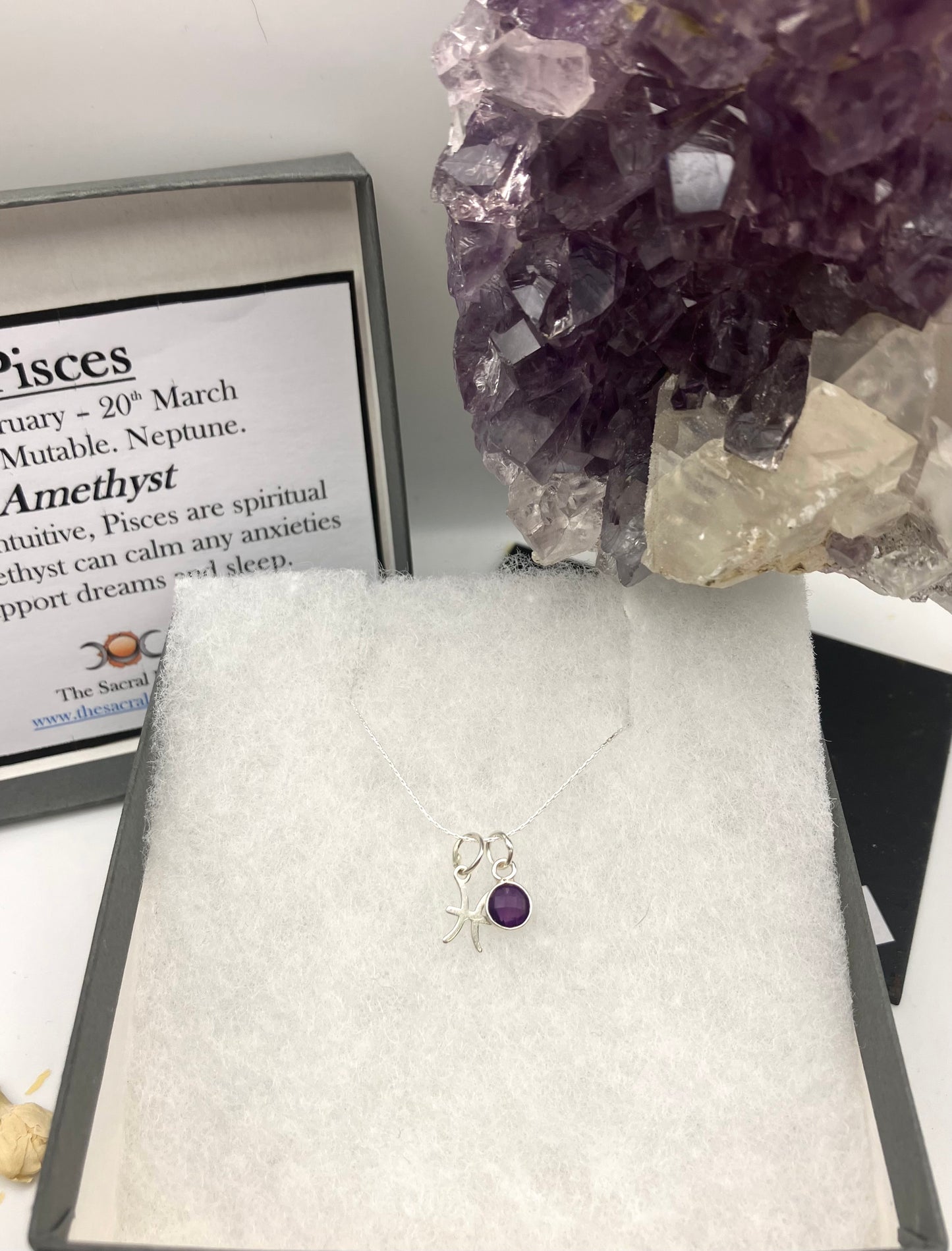 Sterling Silver Pisces Necklace with Amethyst gem charm