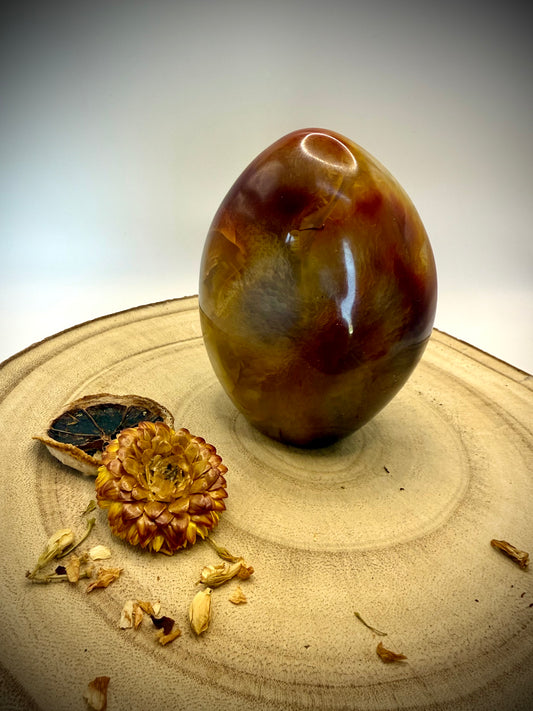 Large Carnelian Freeform 650g