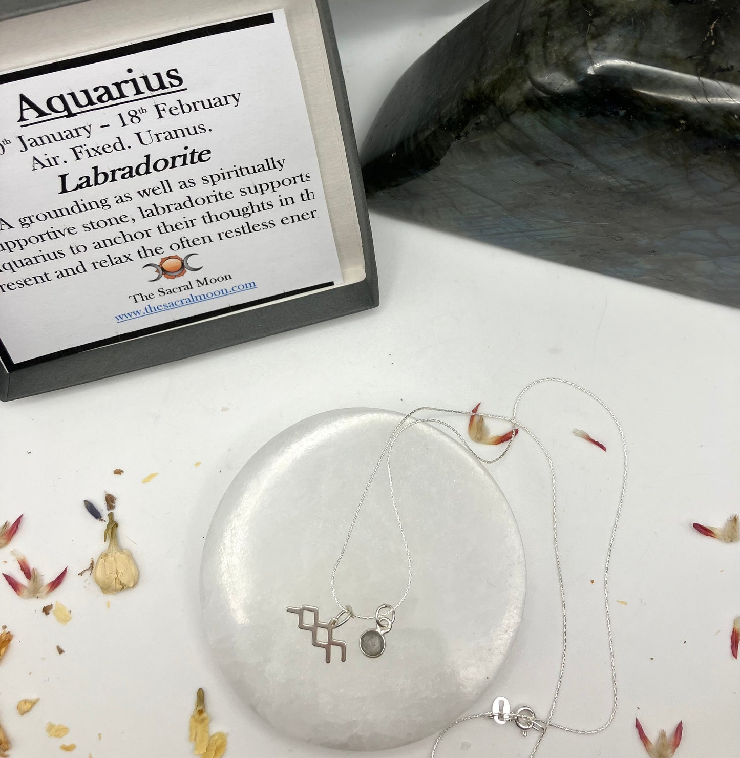 Sterling Silver Aquarius Necklace with Labradorite gem charm.