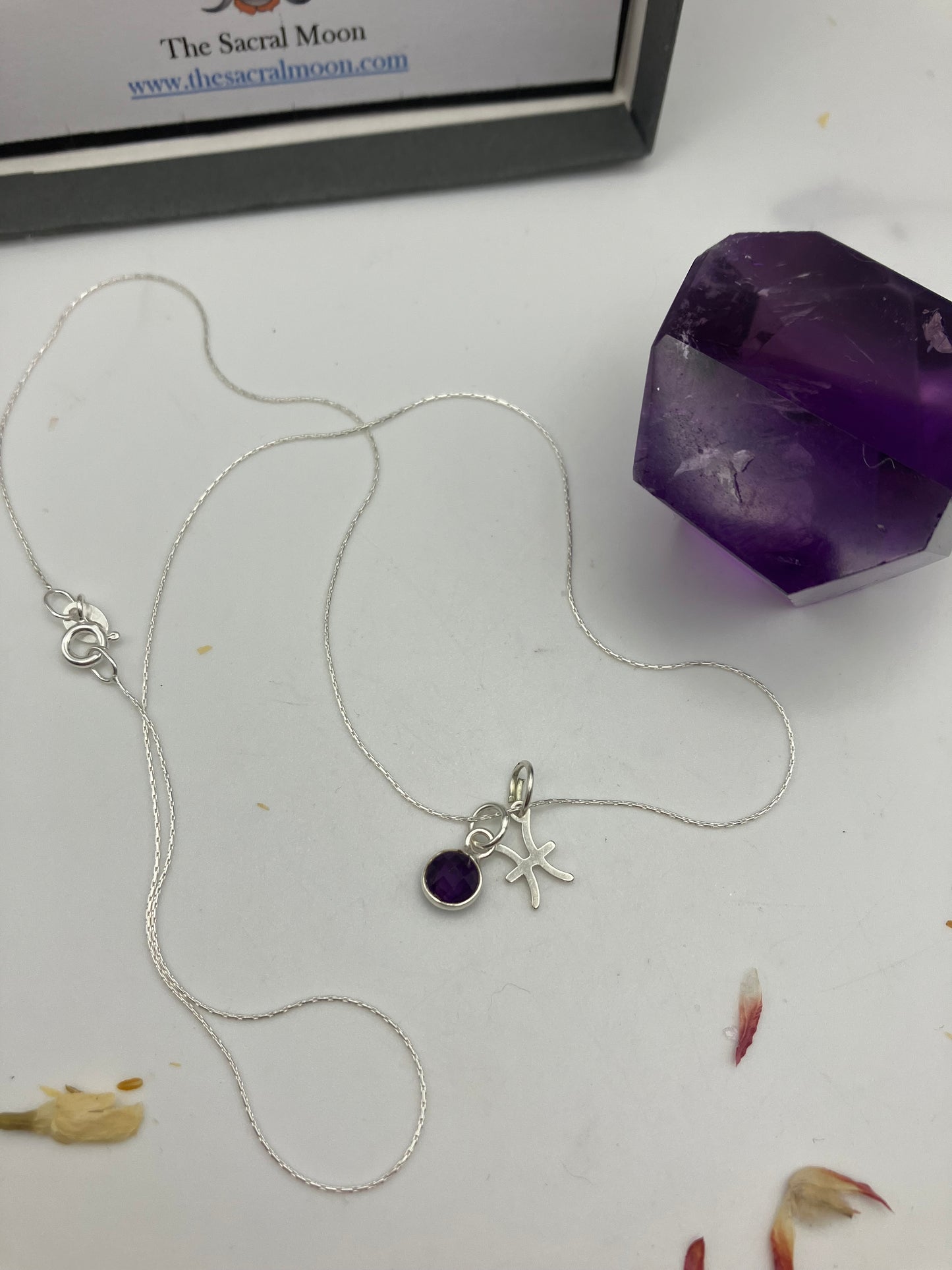 Sterling Silver Pisces Necklace with Amethyst gem charm