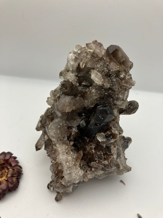 Large Smoky quartz cluster with lithium inclusions 412 g