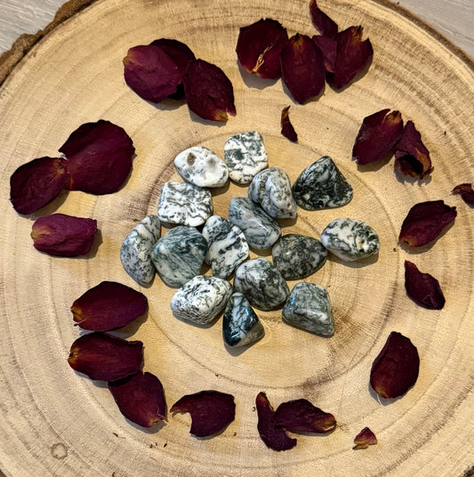 Dendritic Tree Agate Tumblestone – Polished Healing Crystal for Nature and Calm