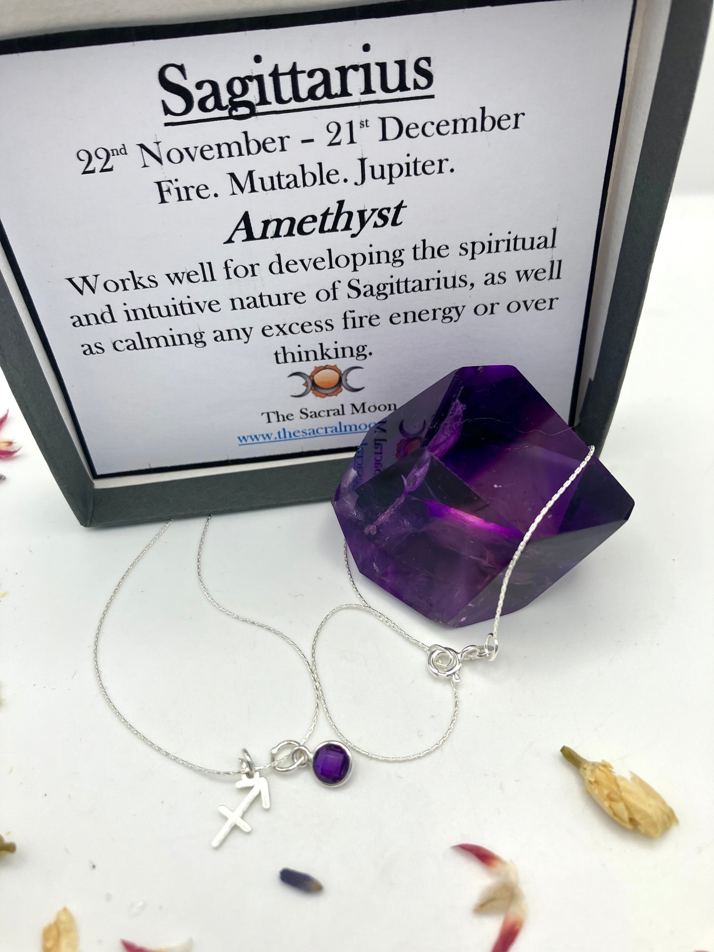 Sterling Silver Sagittarius Necklace with Amethyst gem charm.