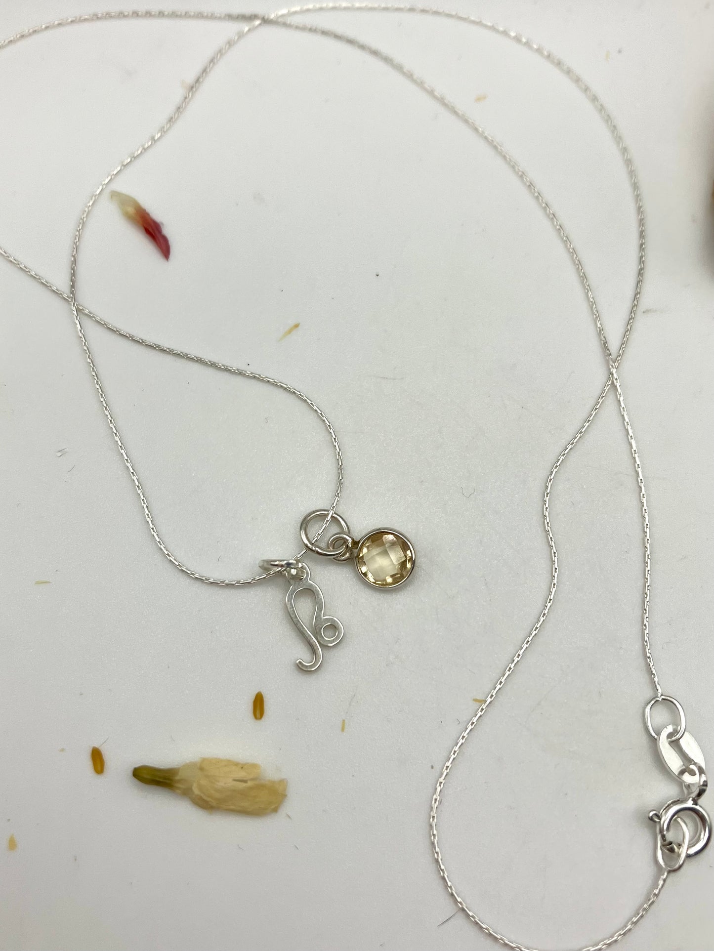 Sterling Silver Leo Necklace with Citrine gem charm.