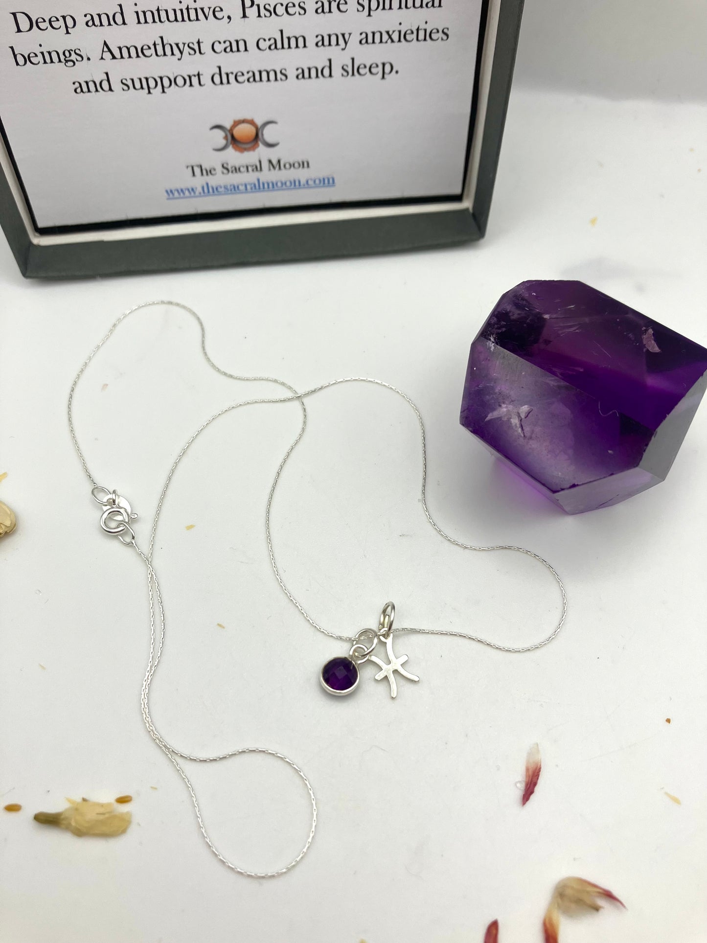 Sterling Silver Pisces Necklace with Amethyst gem charm