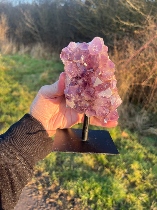 A grade Amethyst cluster on stand (attached). 730g.