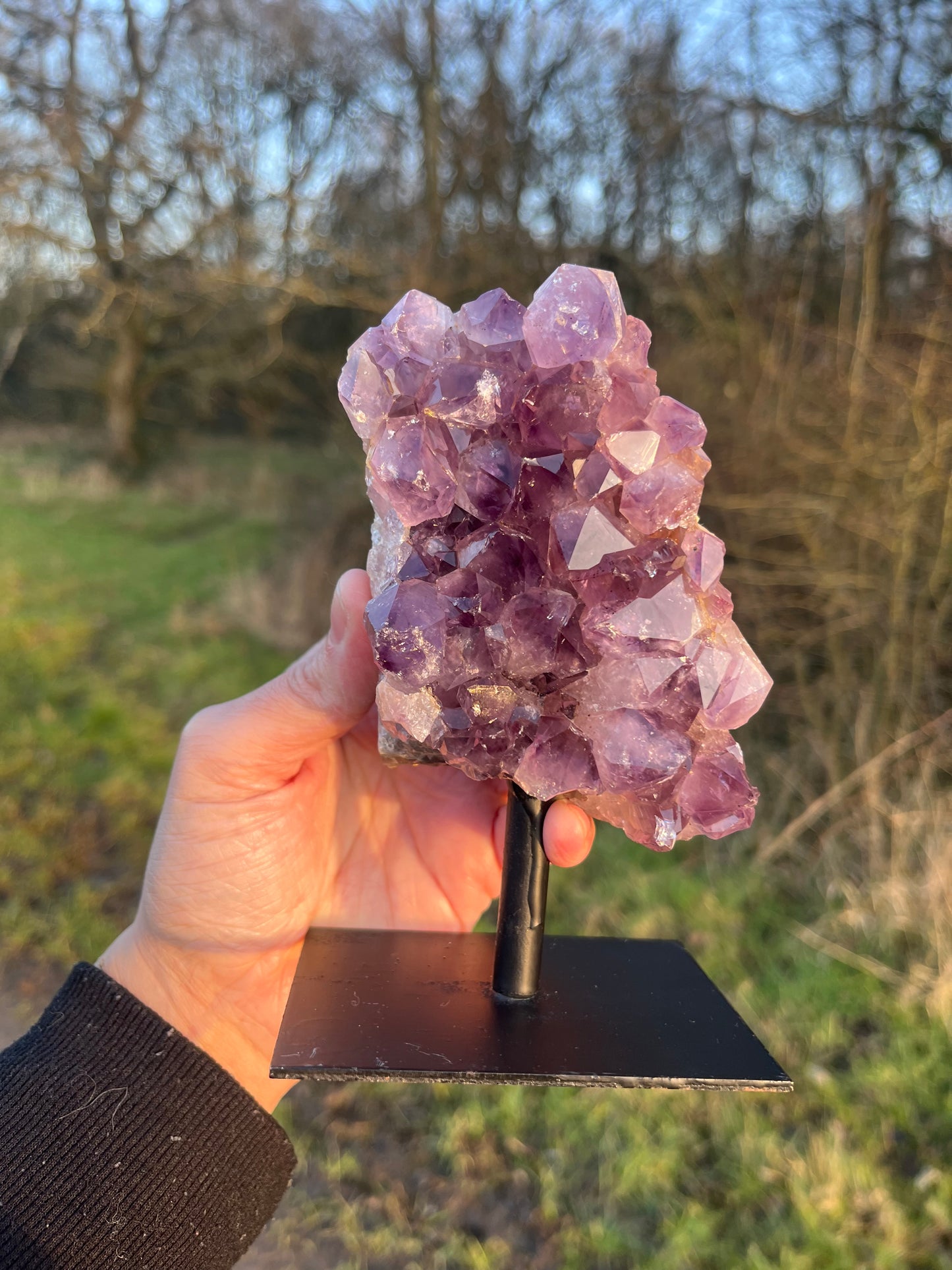 A grade Amethyst cluster on stand (attached). 730g.