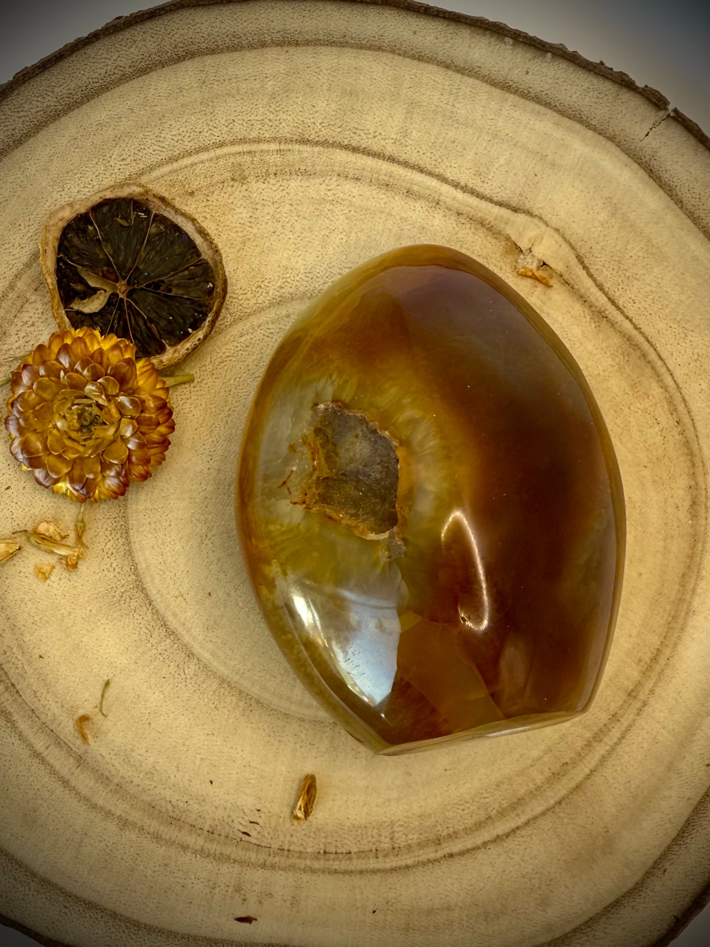 Large Carnelian Freeform 650g