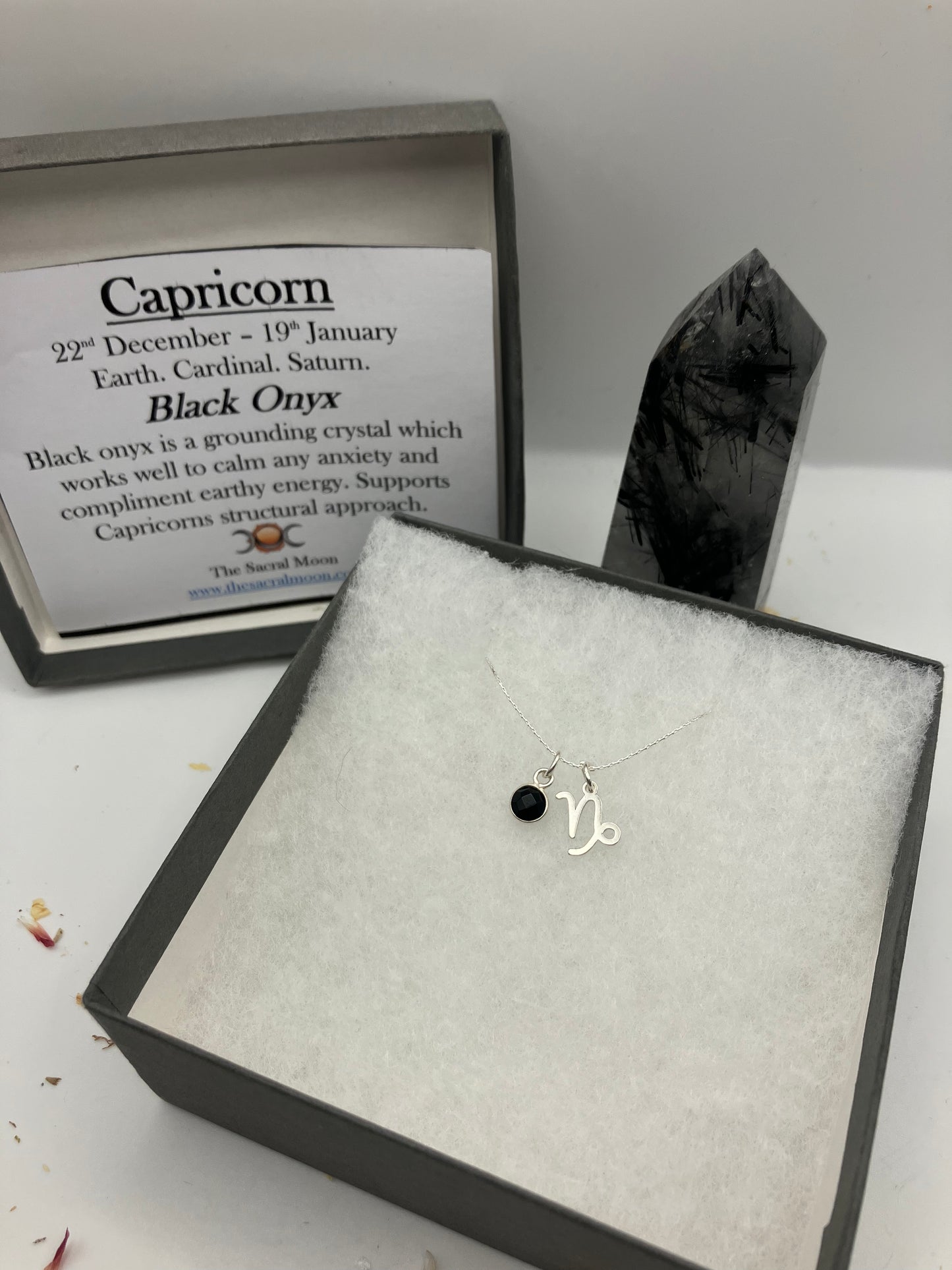 Sterling Silver Capricorn Necklace with black onyx gem charm.