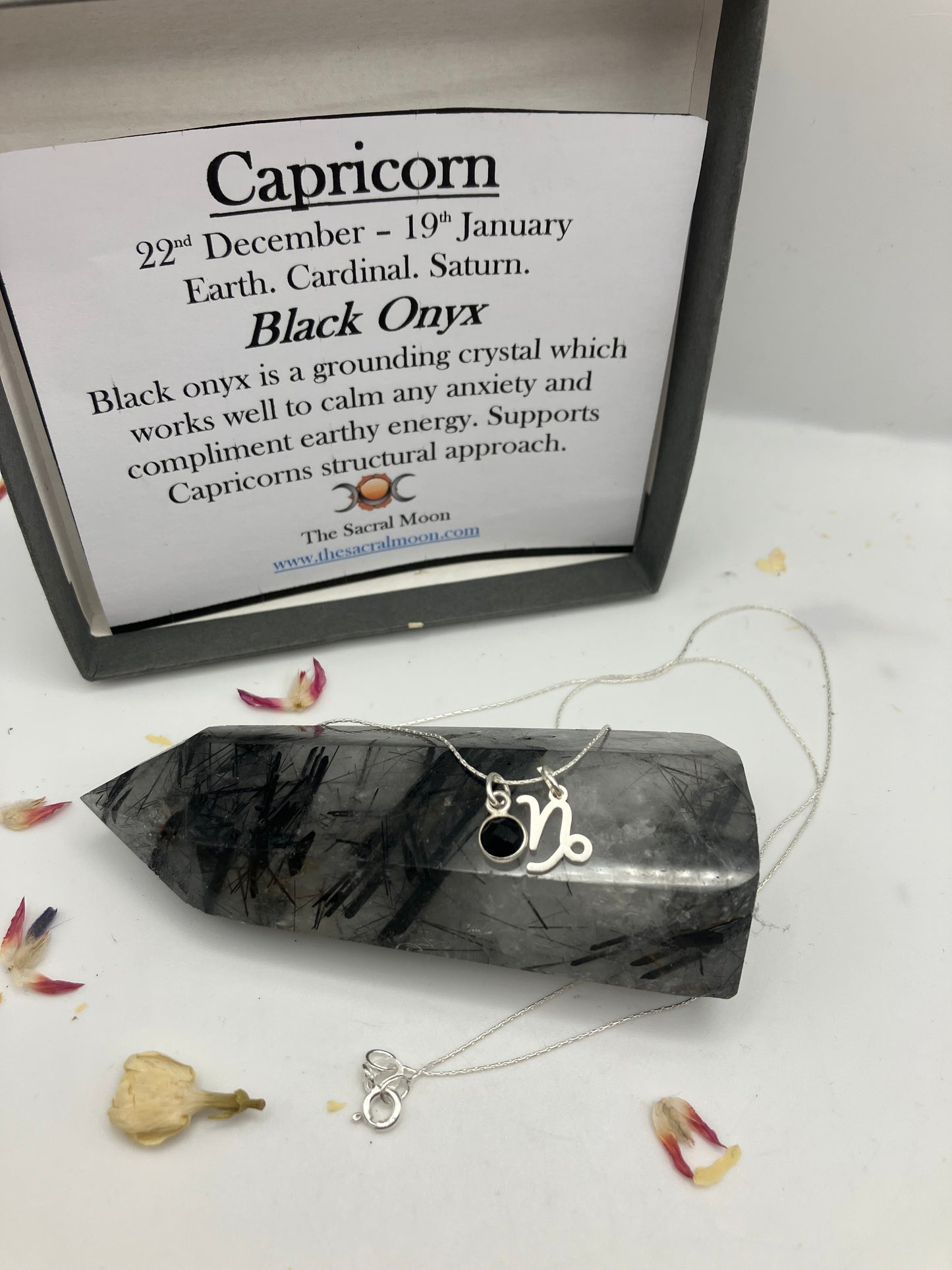 Sterling Silver Capricorn Necklace with black onyx gem charm.