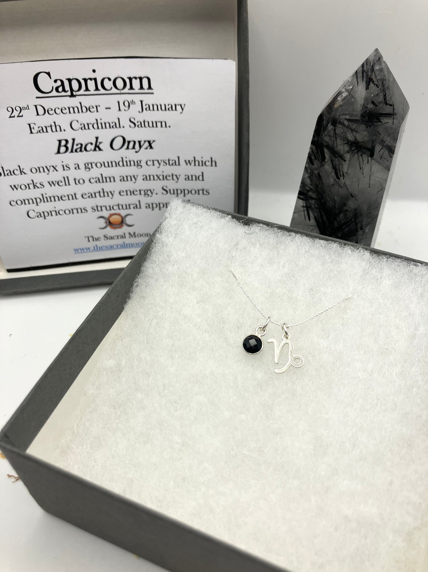 Sterling Silver Capricorn Necklace with black onyx gem charm.