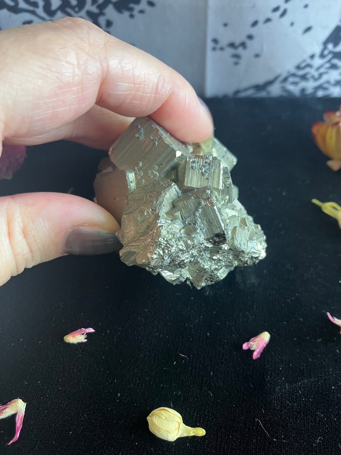 Cubic Pyrite - A