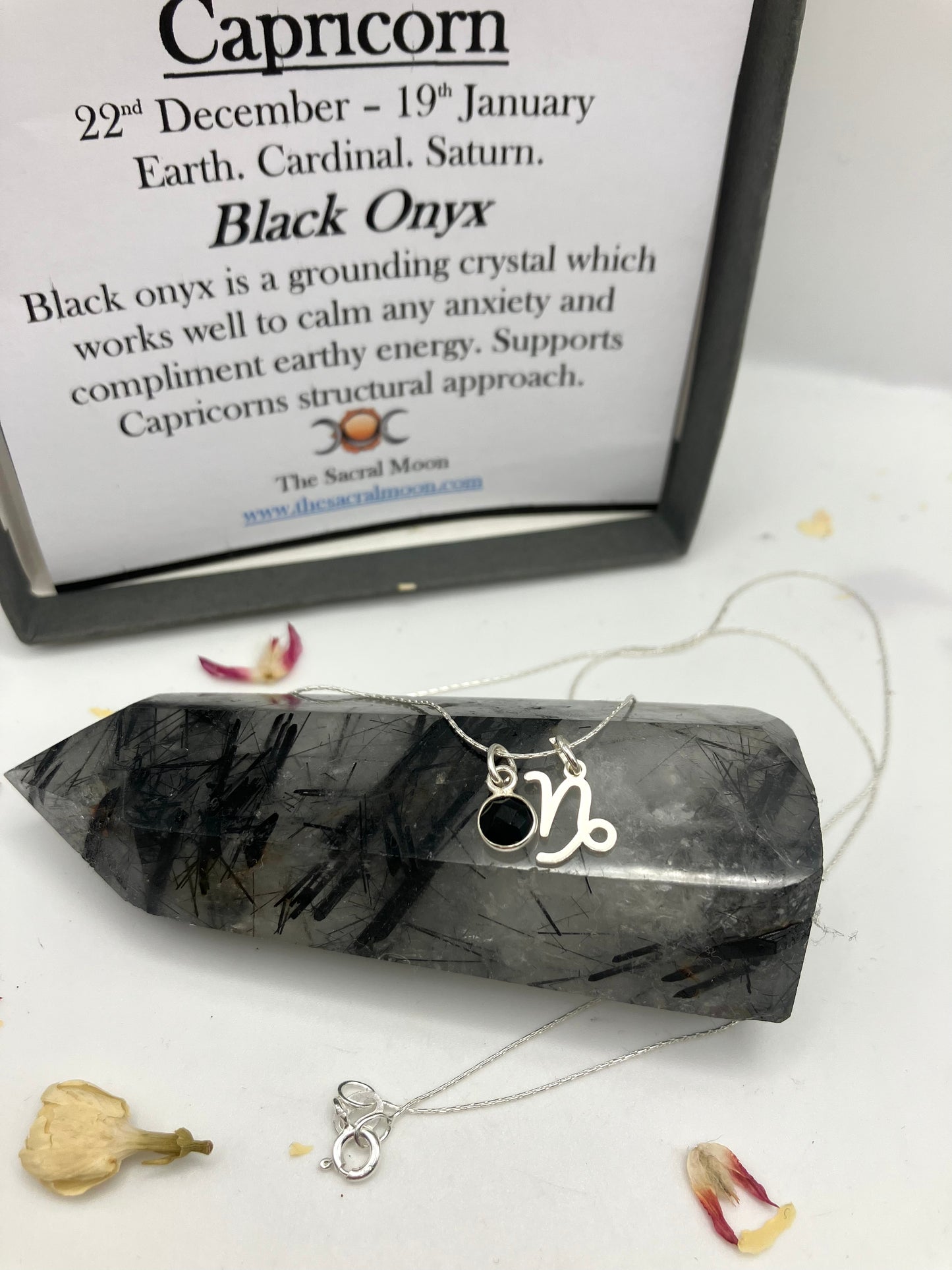 Sterling Silver Capricorn Necklace with black onyx gem charm.