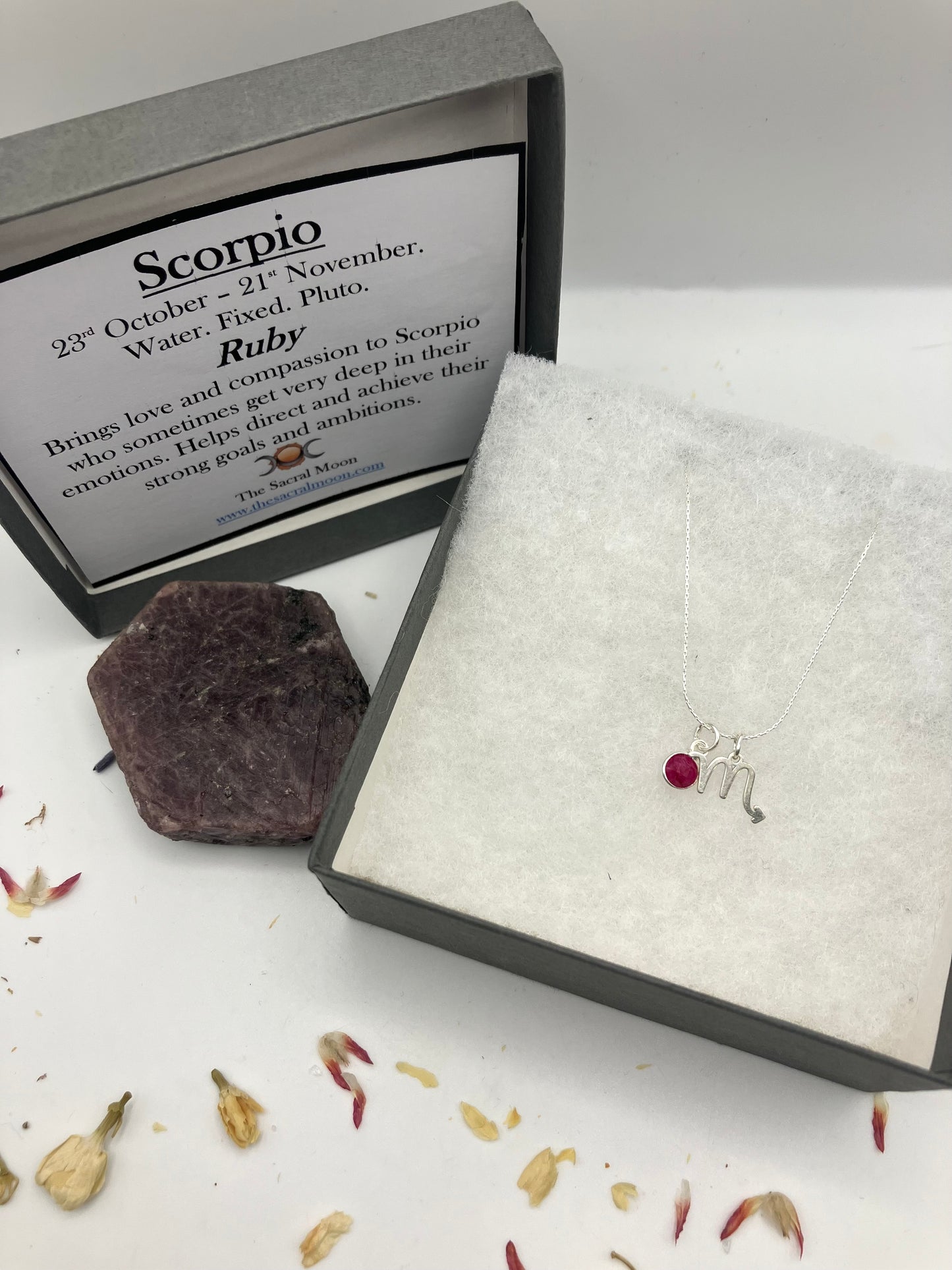 Sterling Silver Scorpio Necklace with Ruby gem charm