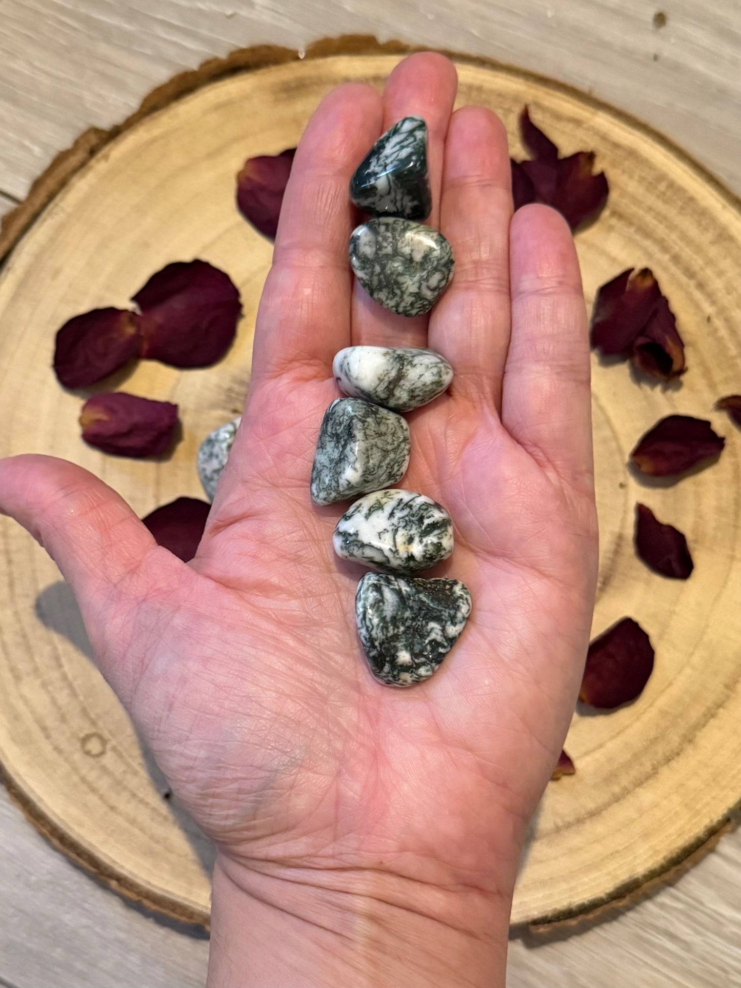 Dendritic Tree Agate Tumblestone – Polished Healing Crystal for Nature and Calm