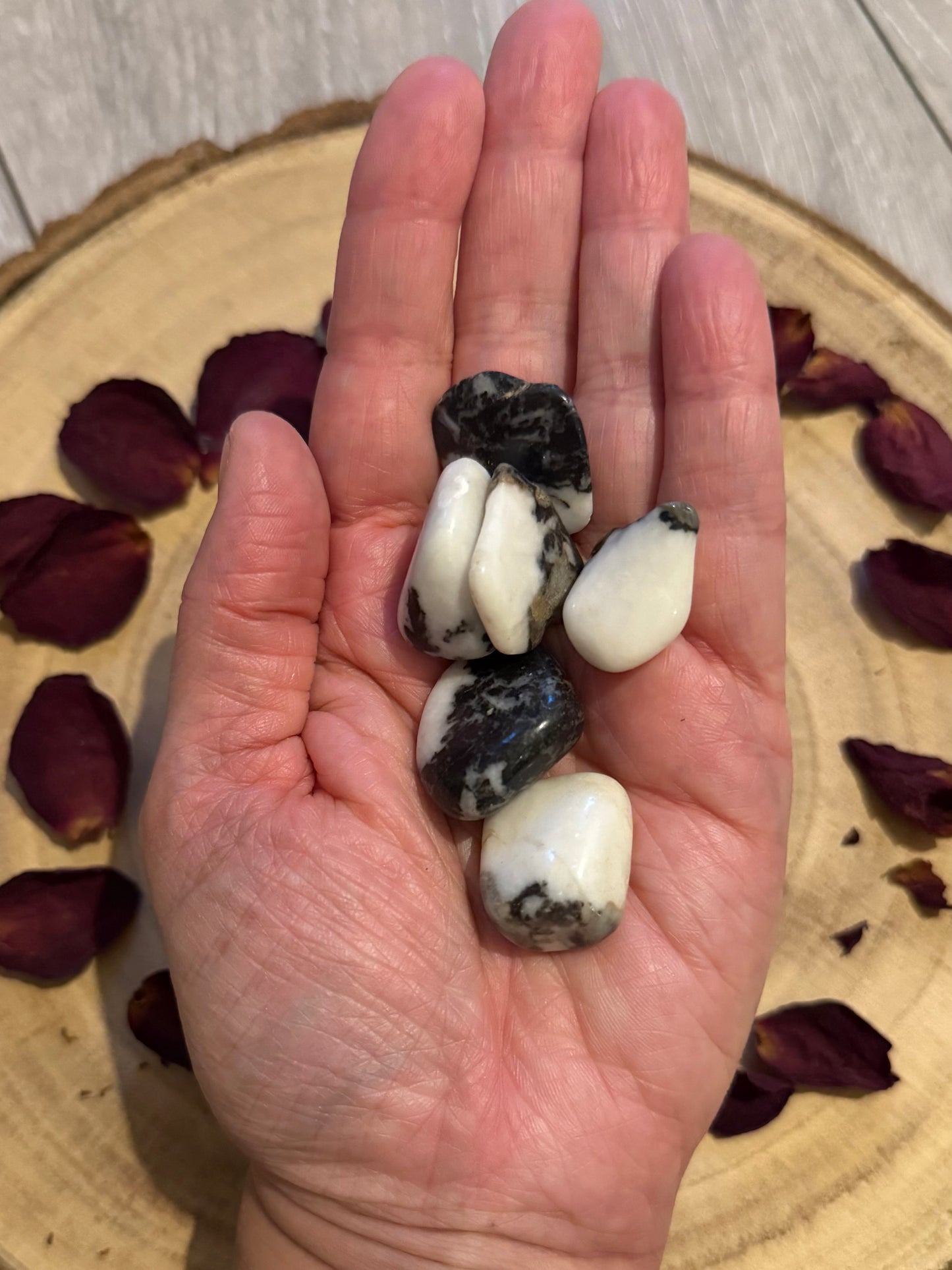 Zebra Jasper tumblestone – Polished Healing Crystal for spiritual alignment, stamina and stability.