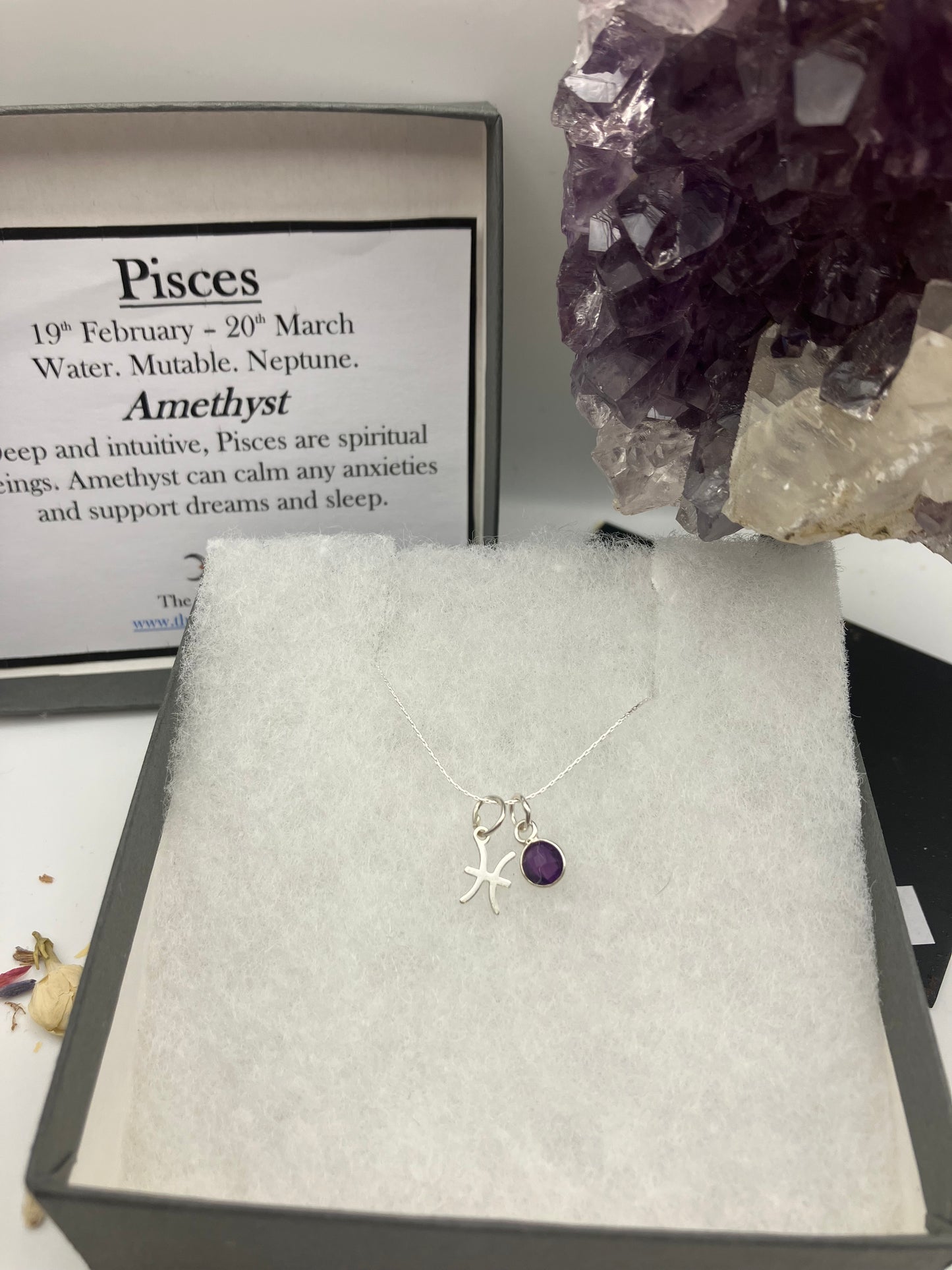 Sterling Silver Pisces Necklace with Amethyst gem charm