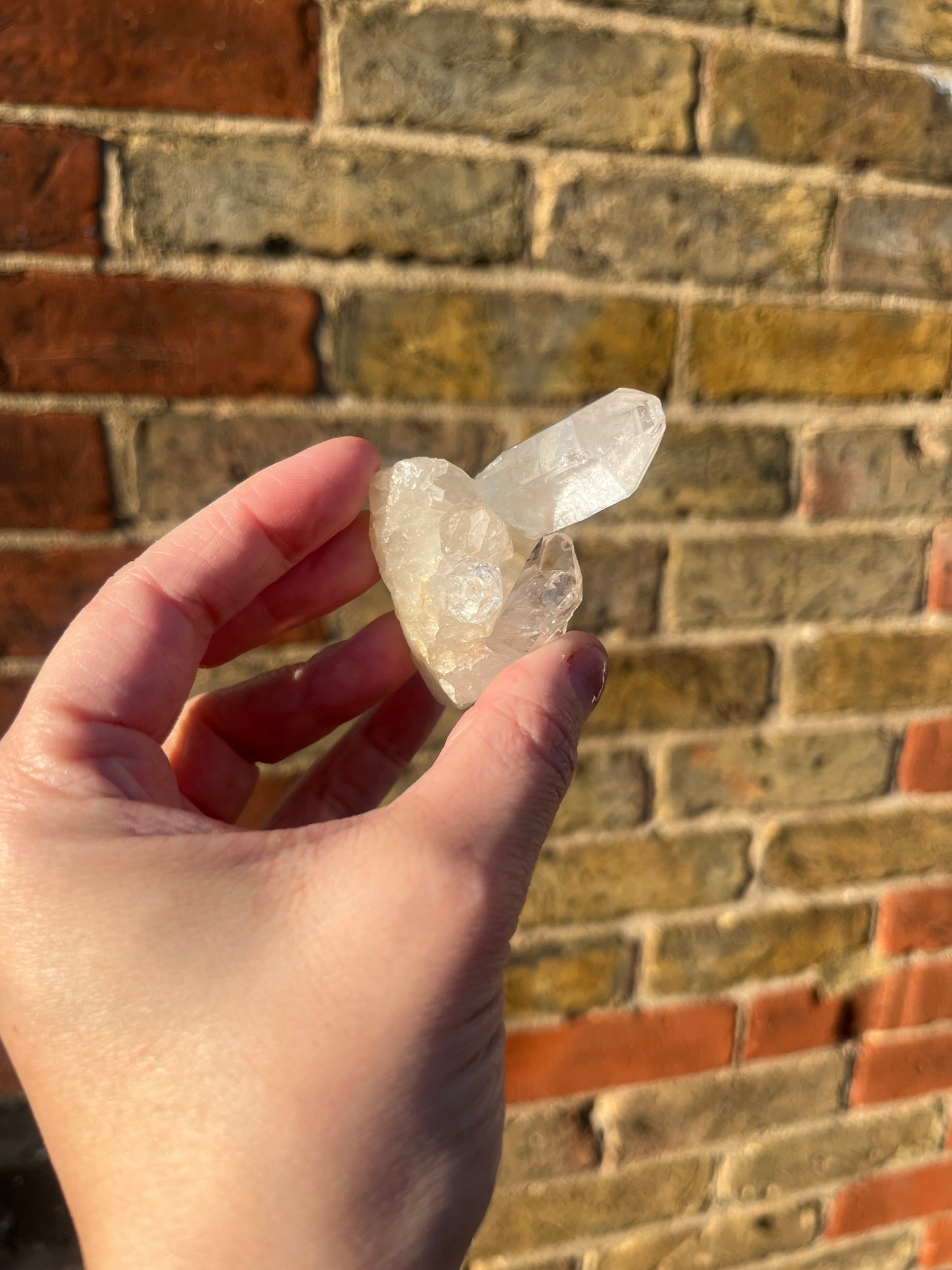 Clear Quartz Cluster