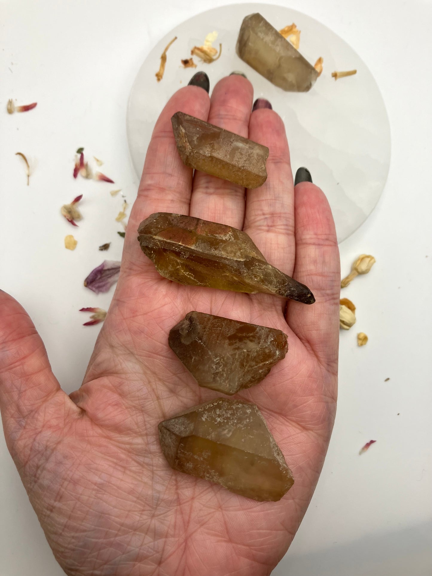 Natural Citrine Crystal | 3 sizes | Crystals for manifesting | Energy | Solar plexus | Crystal points | Raw crystals | Rare |