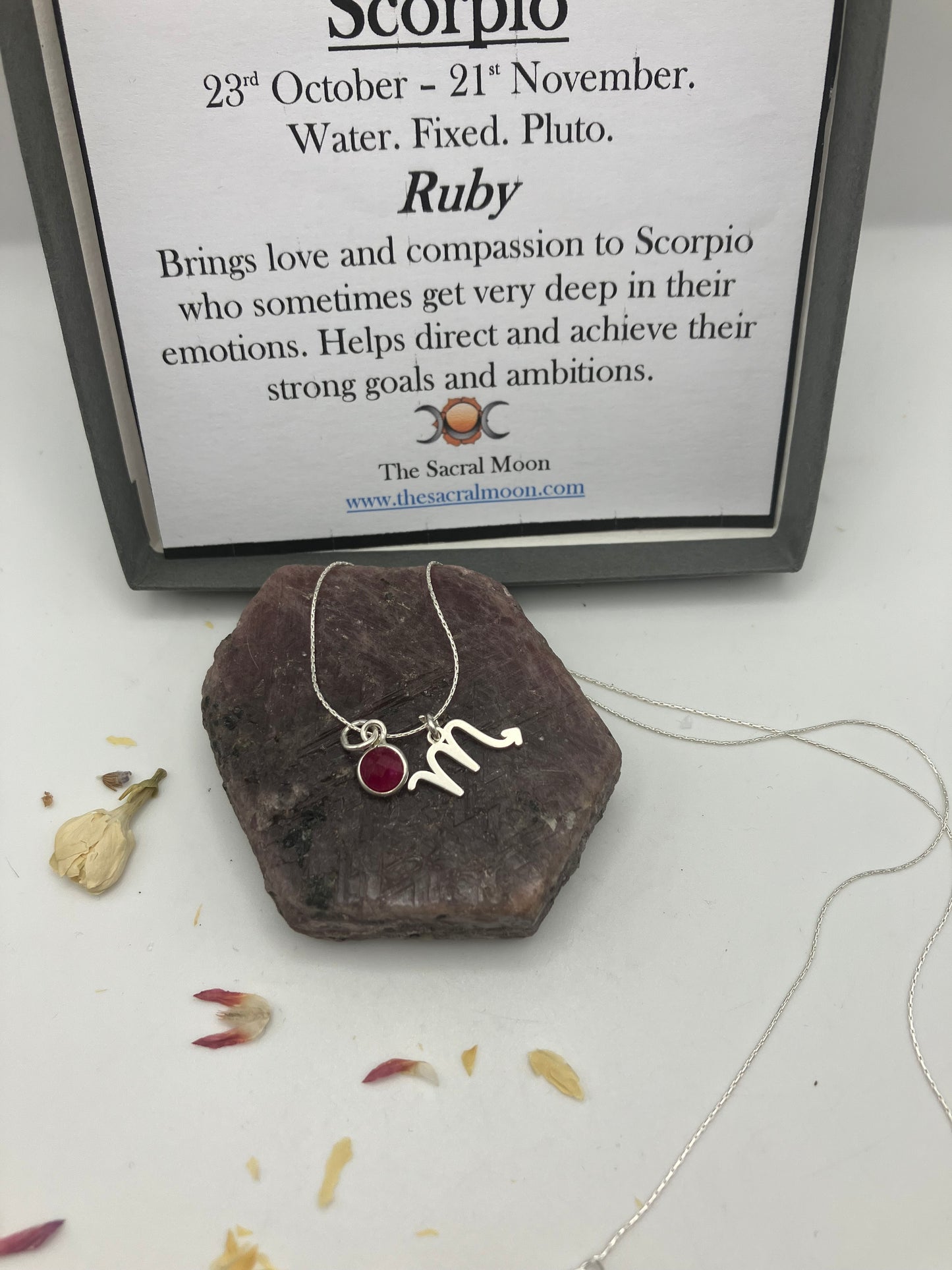 Sterling Silver Scorpio Necklace with Ruby gem charm