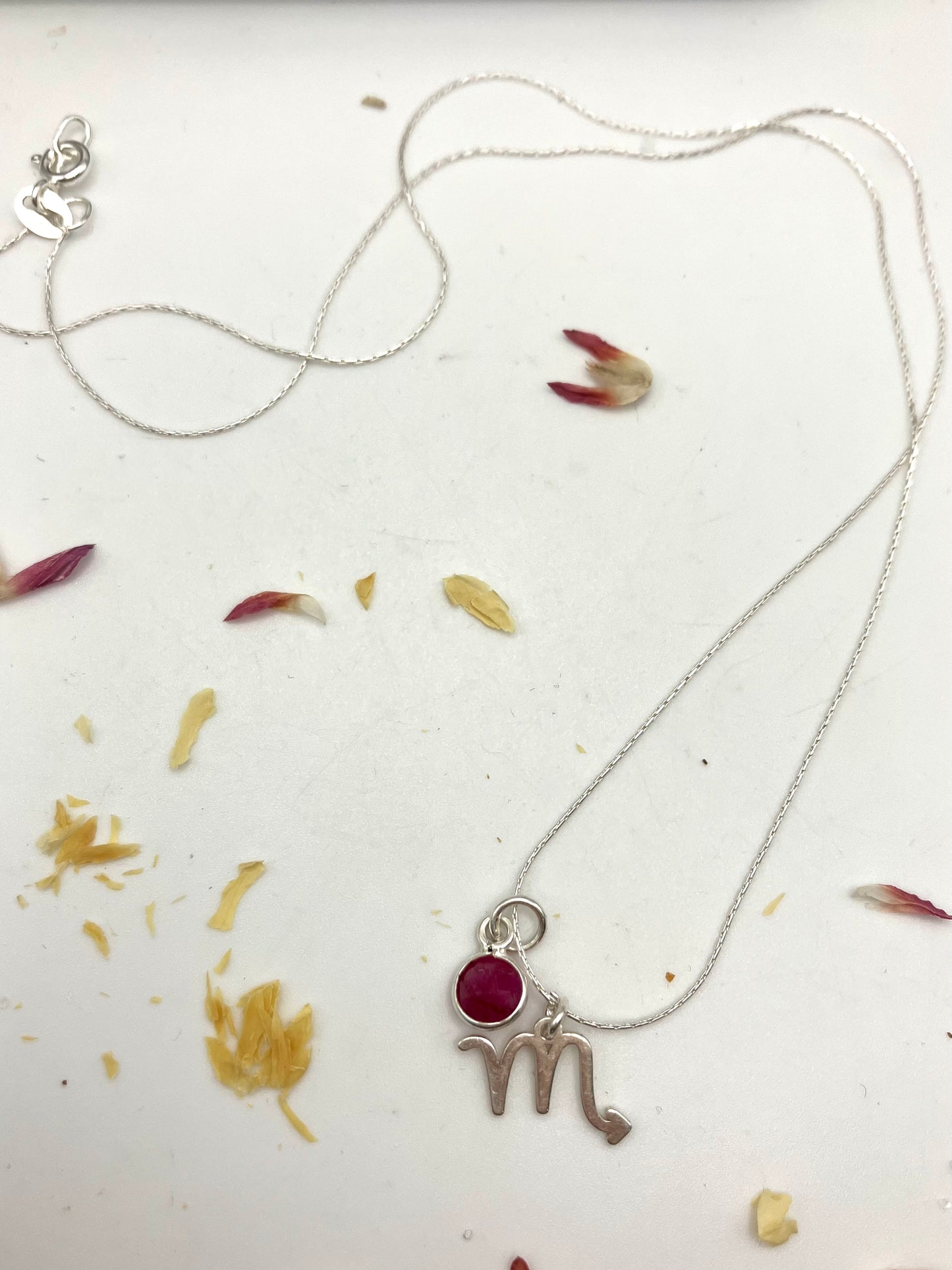 Sterling Silver Scorpio Necklace with Ruby gem charm