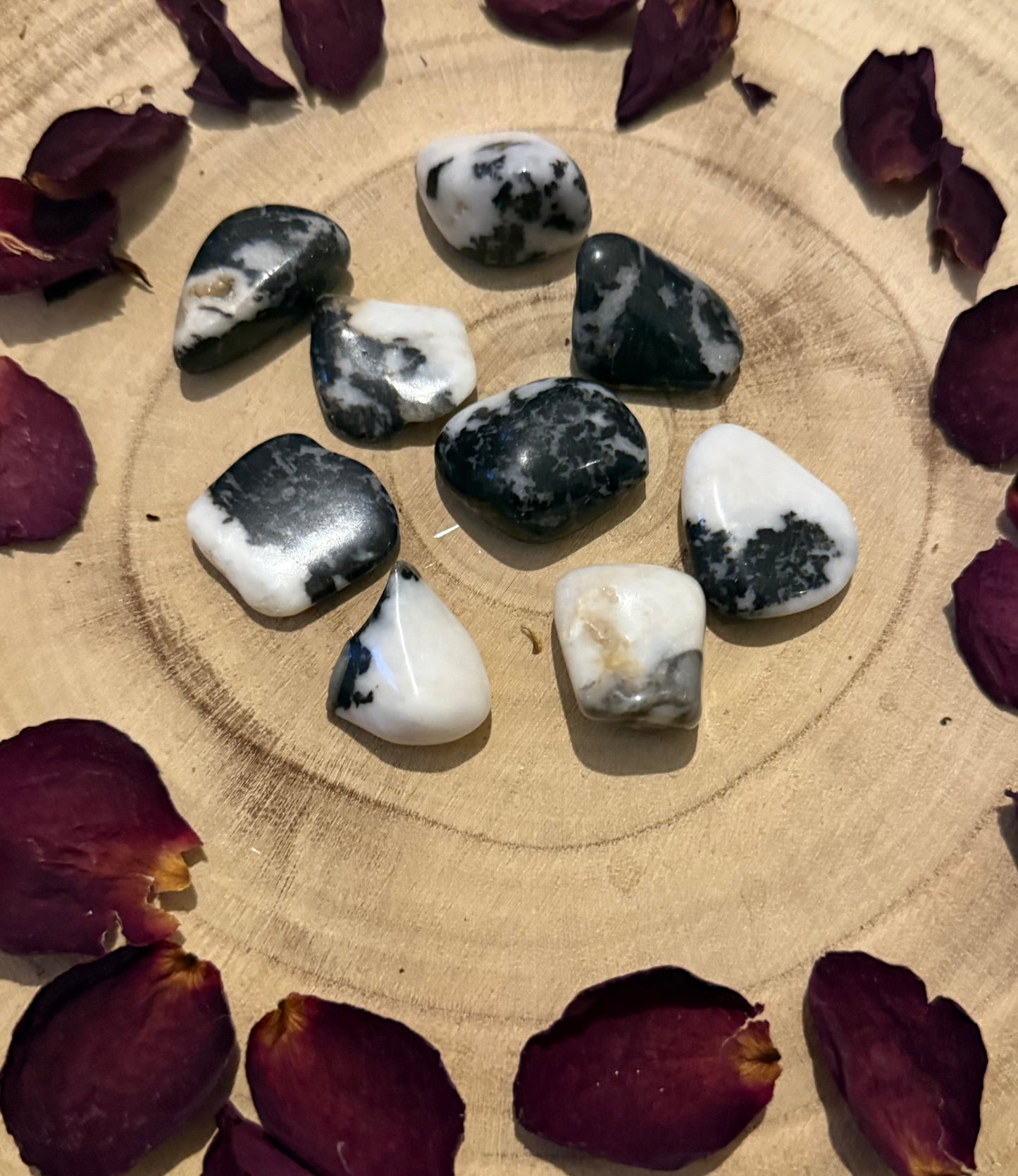 Zebra Jasper tumblestone – Polished Healing Crystal for spiritual alignment, stamina and stability.