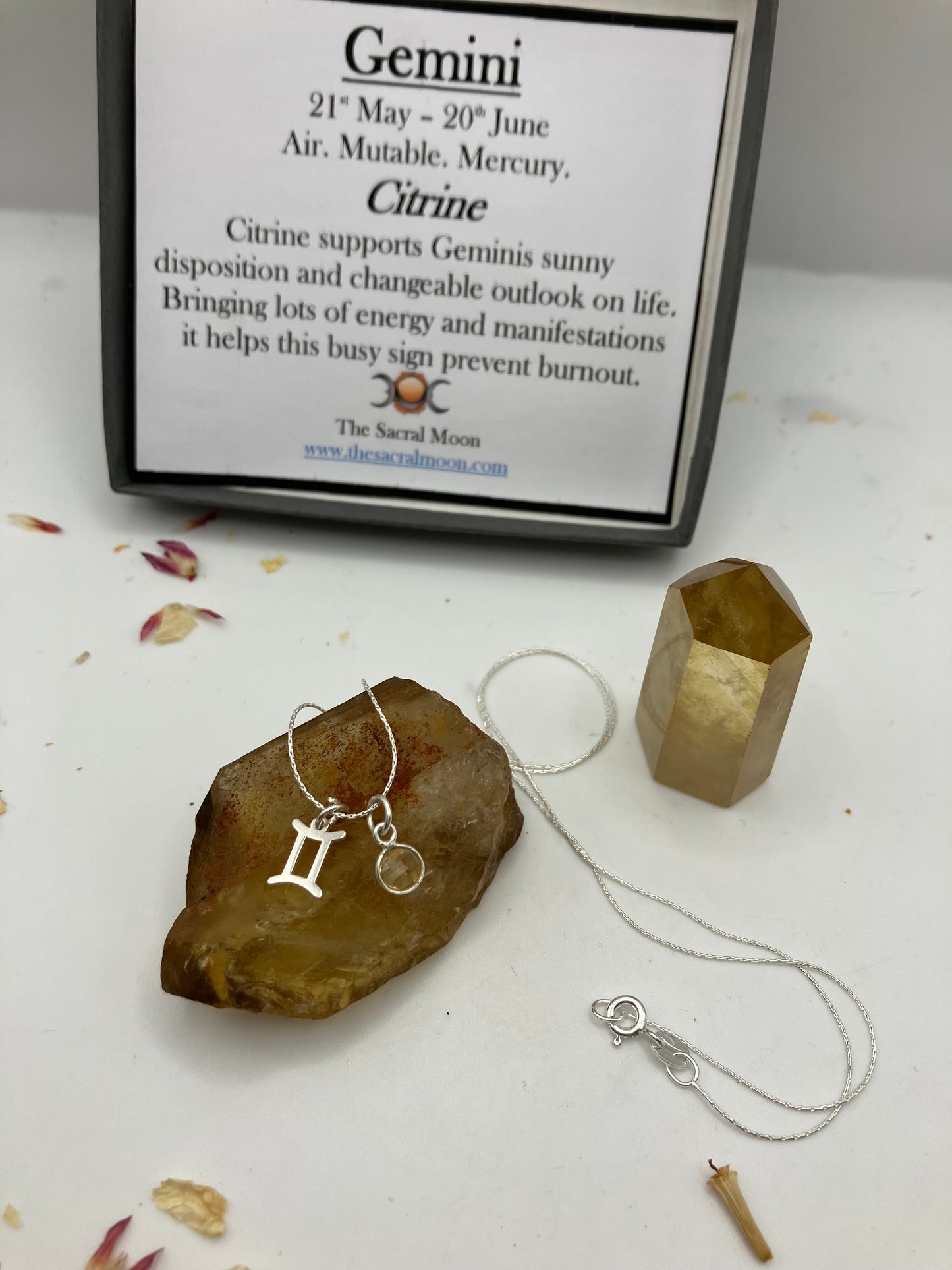 Sterling Silver Gemini Necklace with Citrine gem charm.