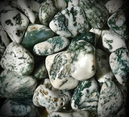 Dendritic Tree Agate Tumblestone – Polished Healing Crystal for Nature and Calm