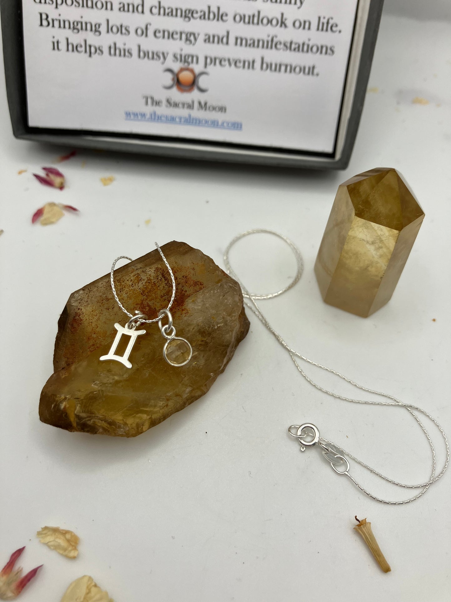 Sterling Silver Gemini Necklace with Citrine gem charm.