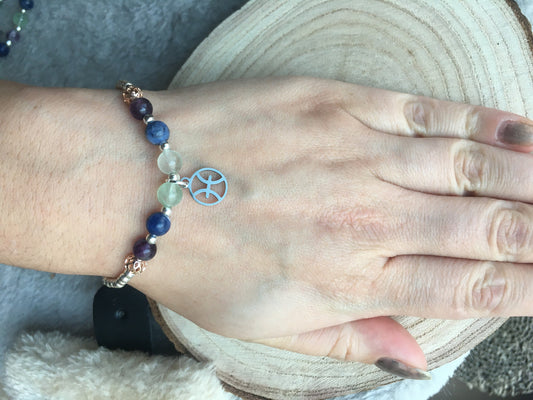 Pisces charm birthstone bracelet / TWO OPTIONS / Amethyst, sodalite, fluorite /Zodiac birthday gift /Psychic development, intuition, calming