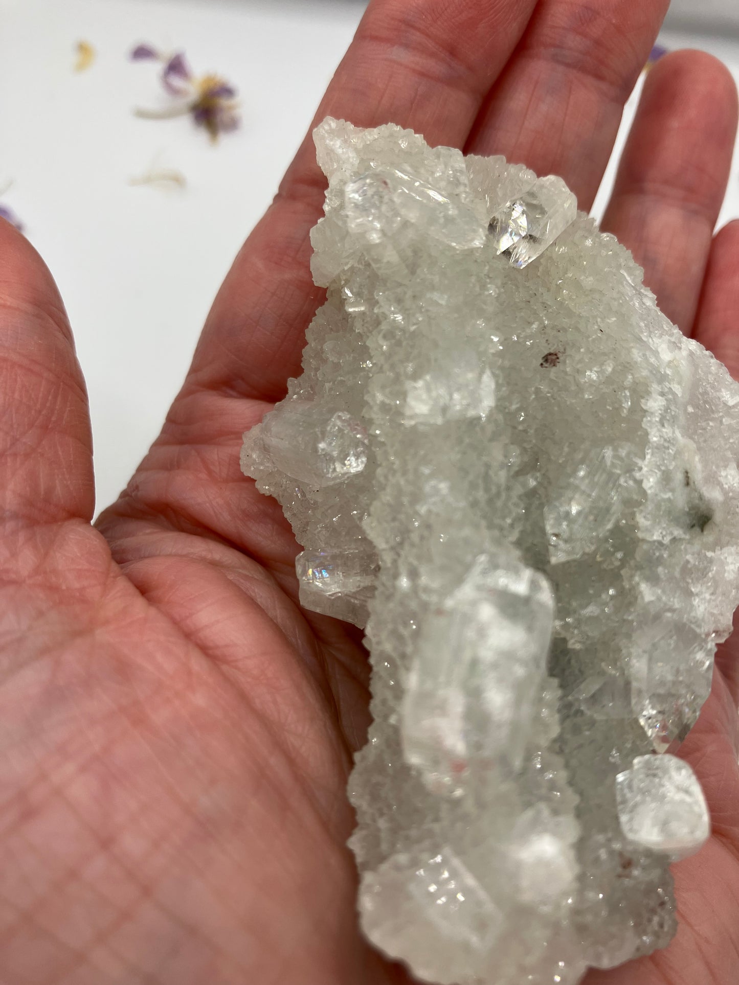 Apophyllite Cluster 4