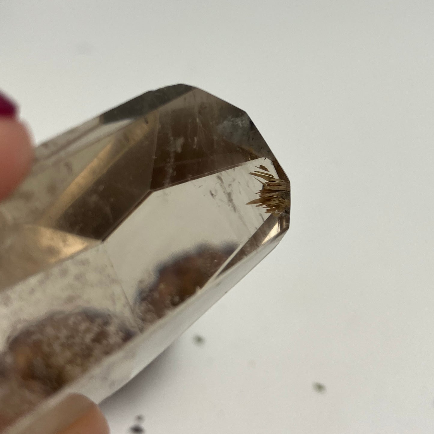 Smoky Quartz Freeform with little golden rutile inclusion at tip.