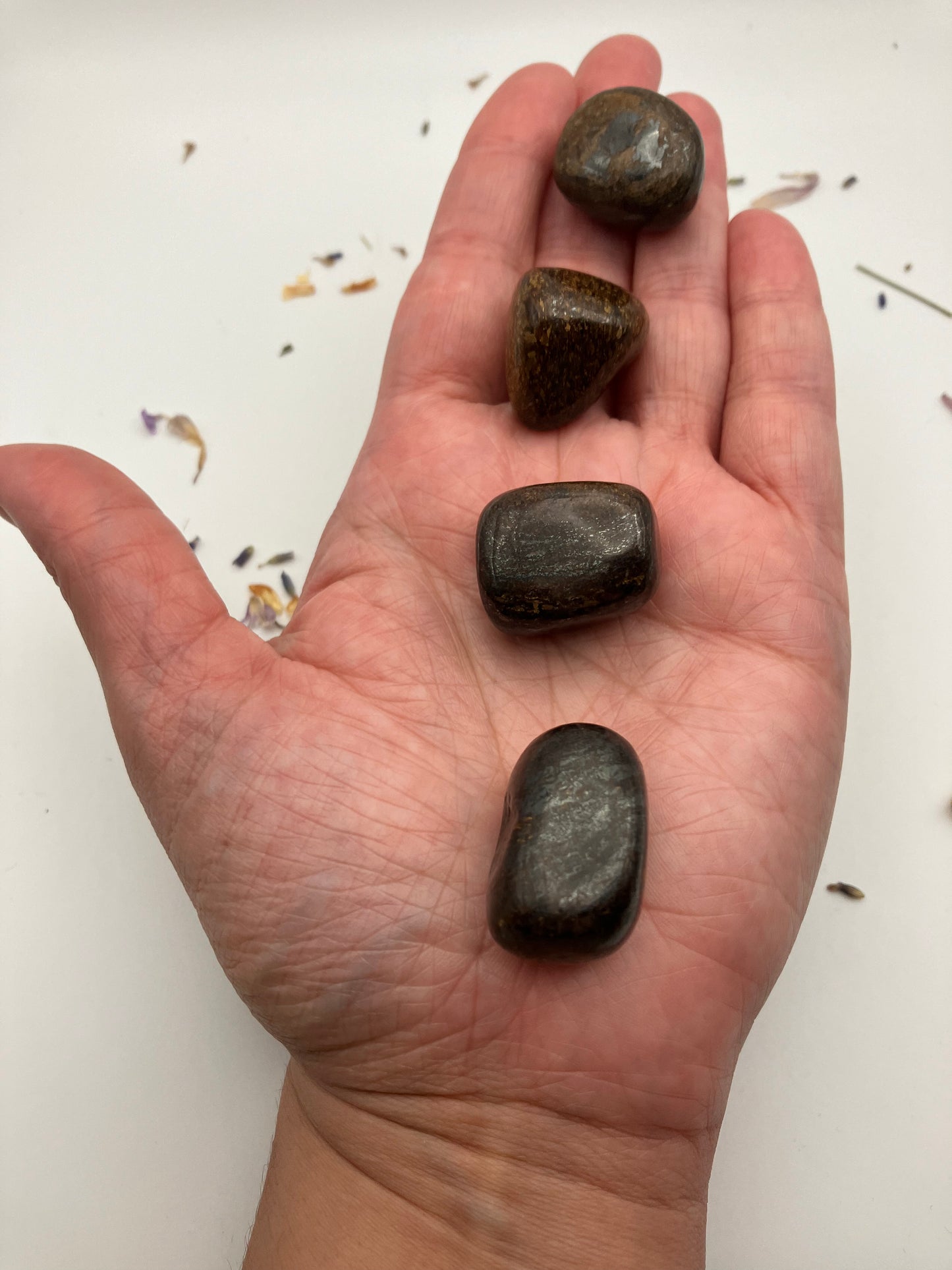 Bronzite Tumblestones / 2 sizes