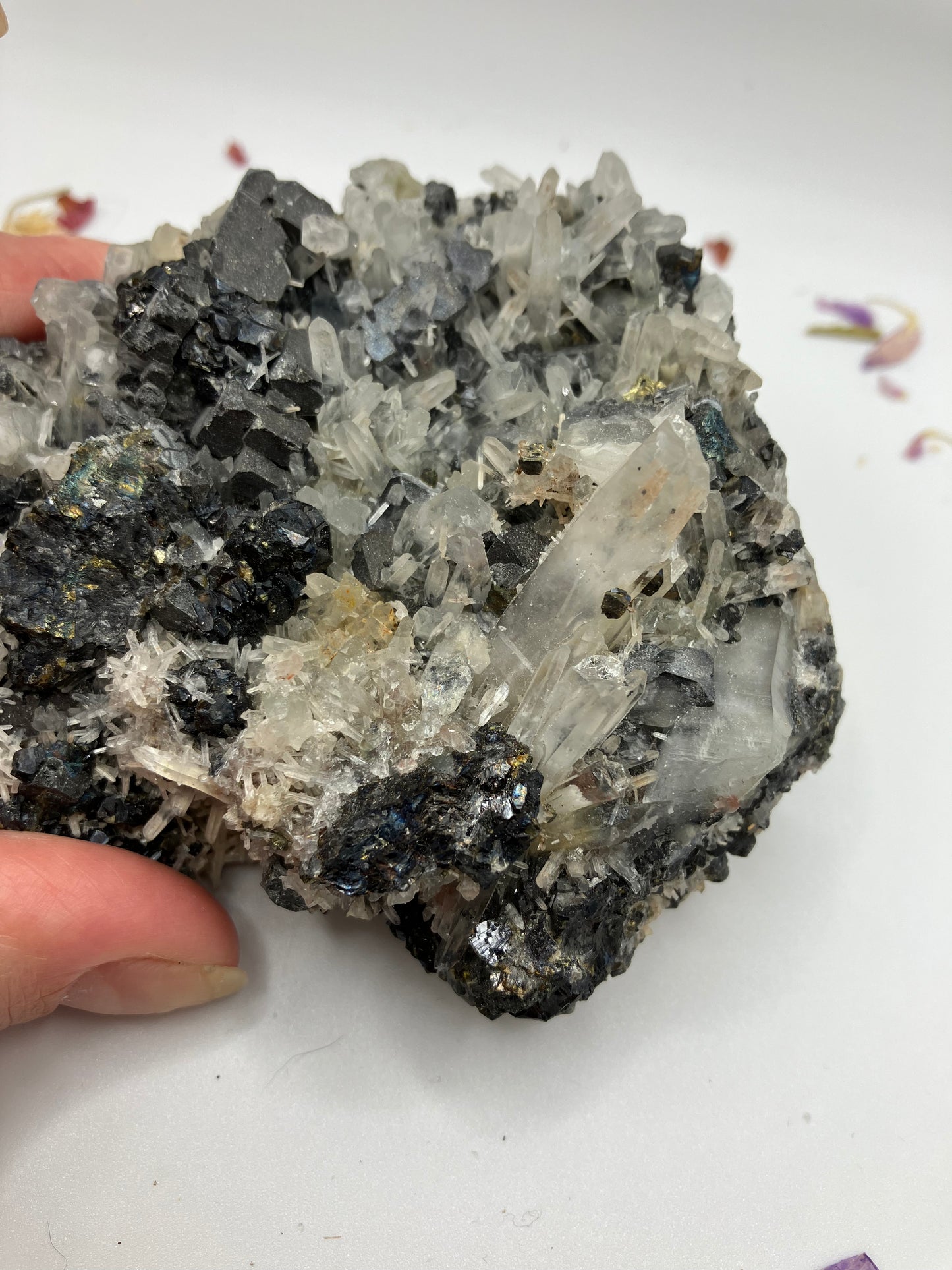 Galena and Black Sphalerite with Quartz needles. 393 g