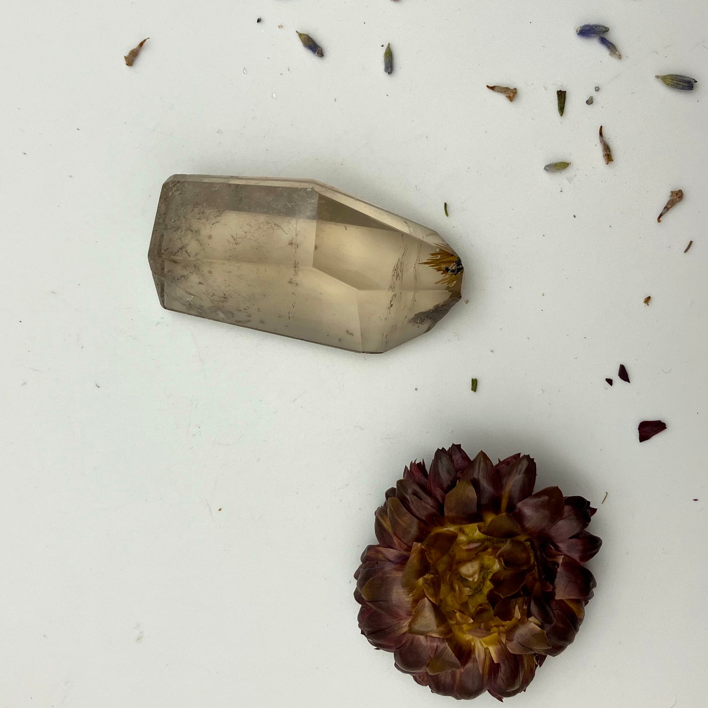 Smoky Quartz Freeform with little golden rutile inclusion at tip.