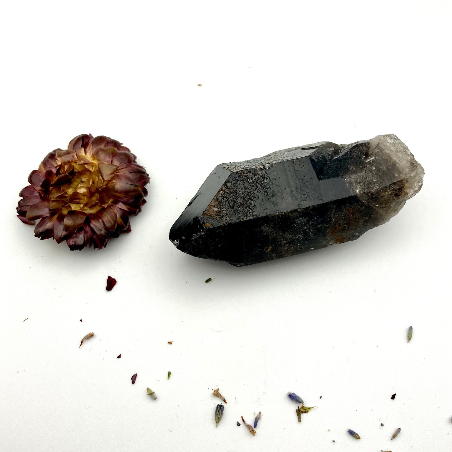 Very dark, natural Smoky Quartz point 88g