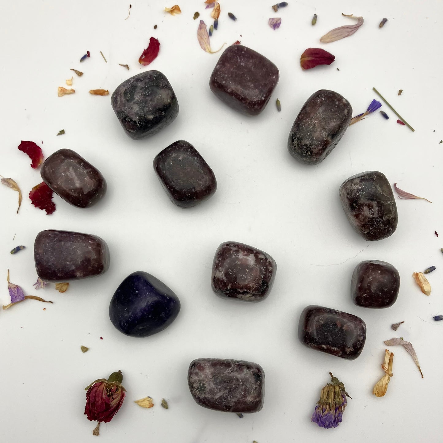 Dark purple lepidolite tumble stones