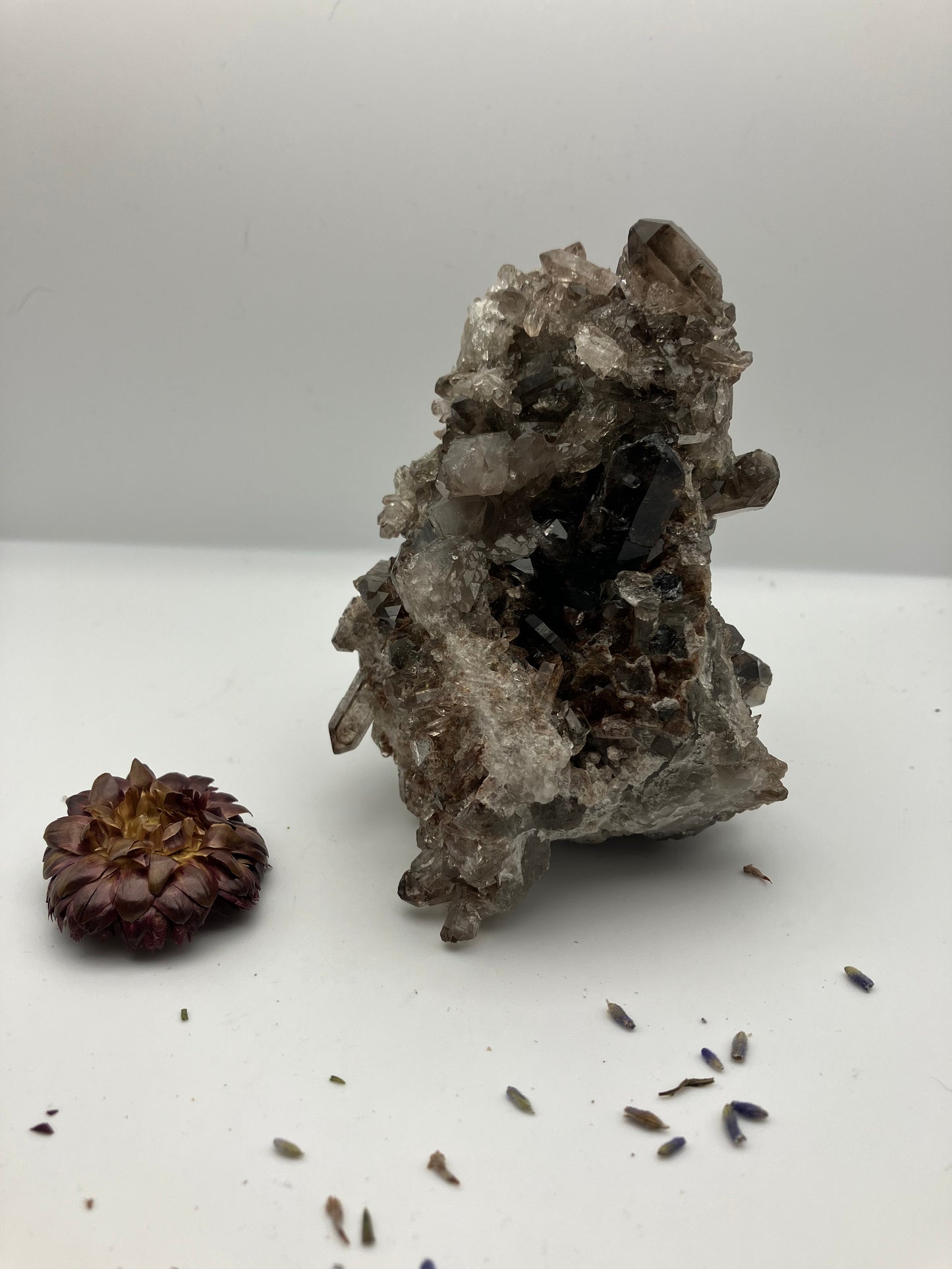 Large Smoky quartz cluster with lithium inclusions 412 g