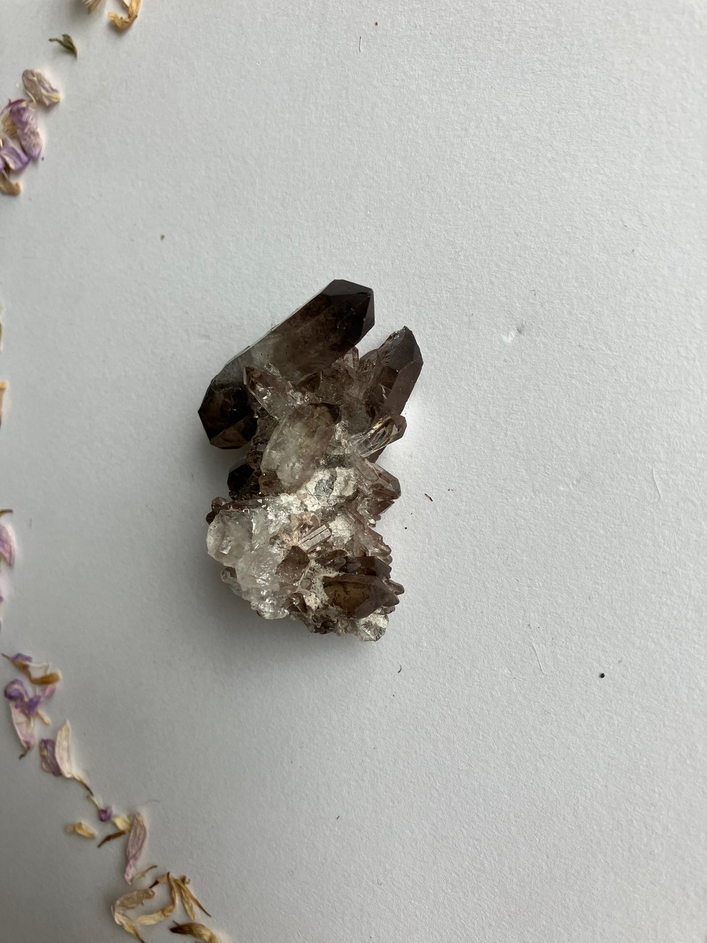 Smoky quartz cluster with lithium inclusions