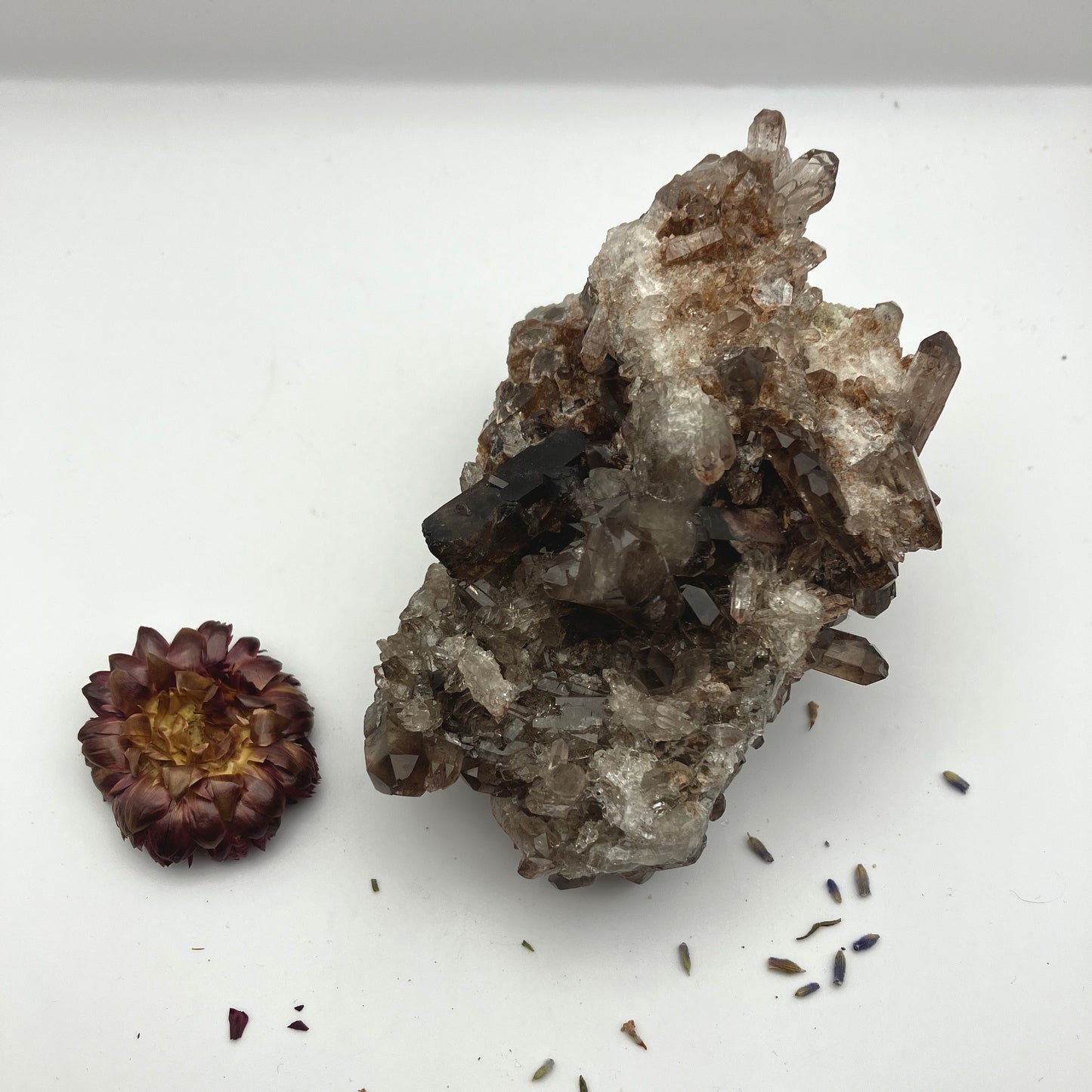 Large Smoky quartz cluster with lithium inclusions 412 g