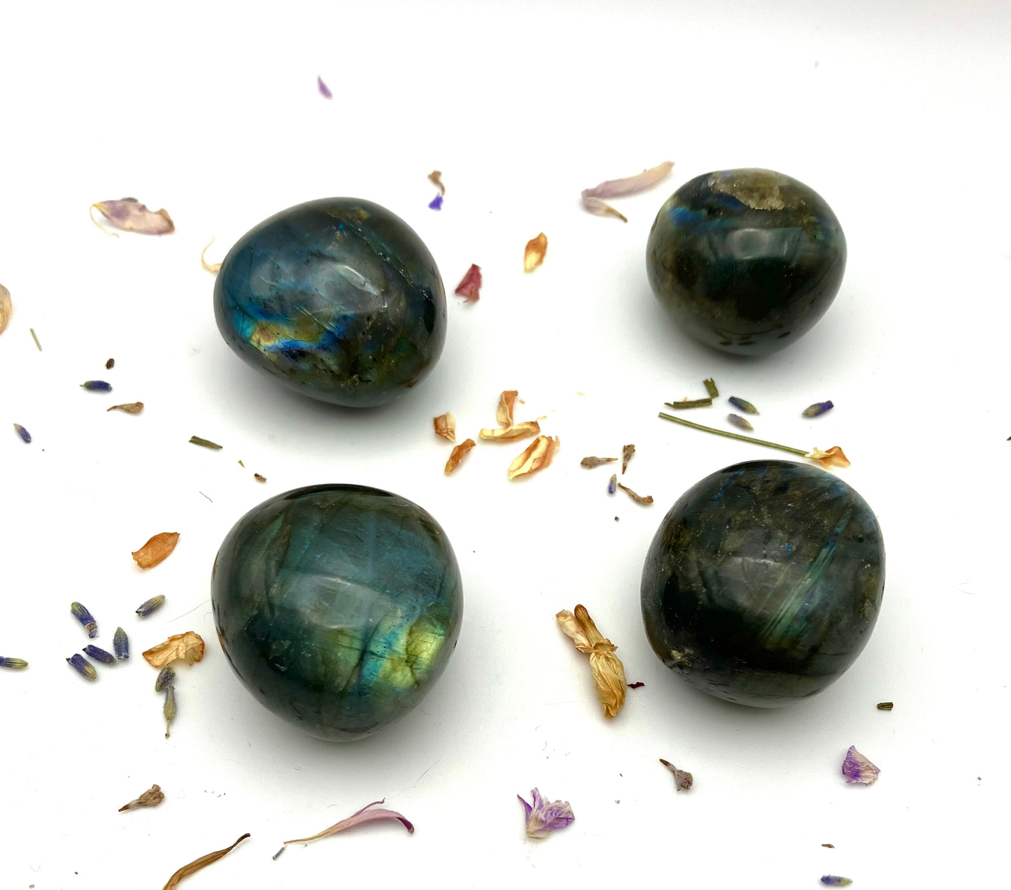 Flashy Labradorite Mini Boulders