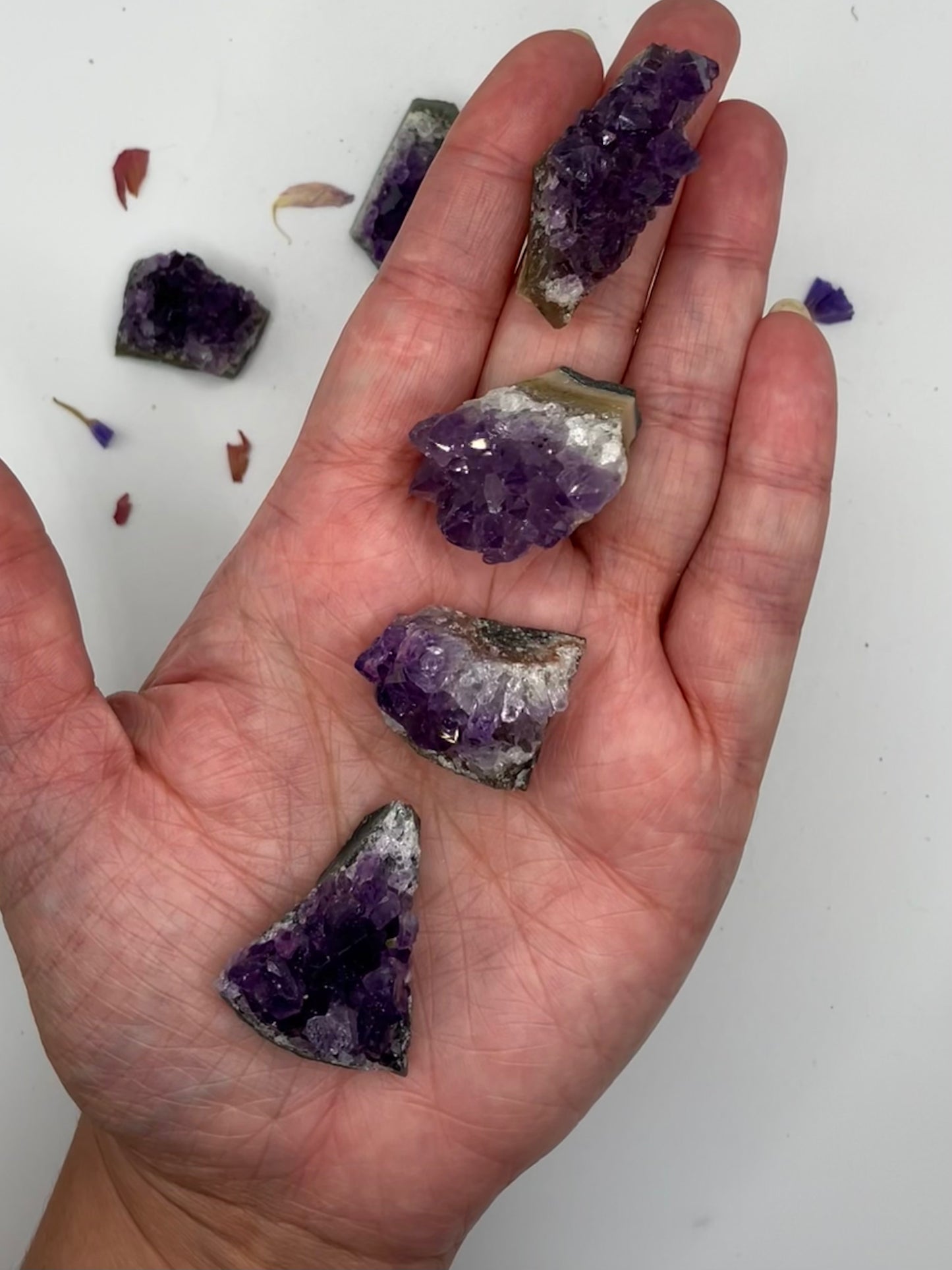 Amethyst Druze Clusters Small - high grade deep purple from Brazil