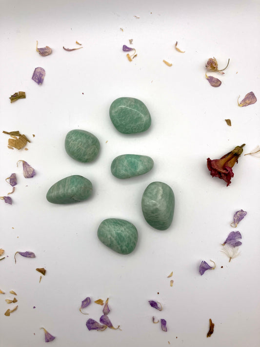 Amazonite Tumblestones