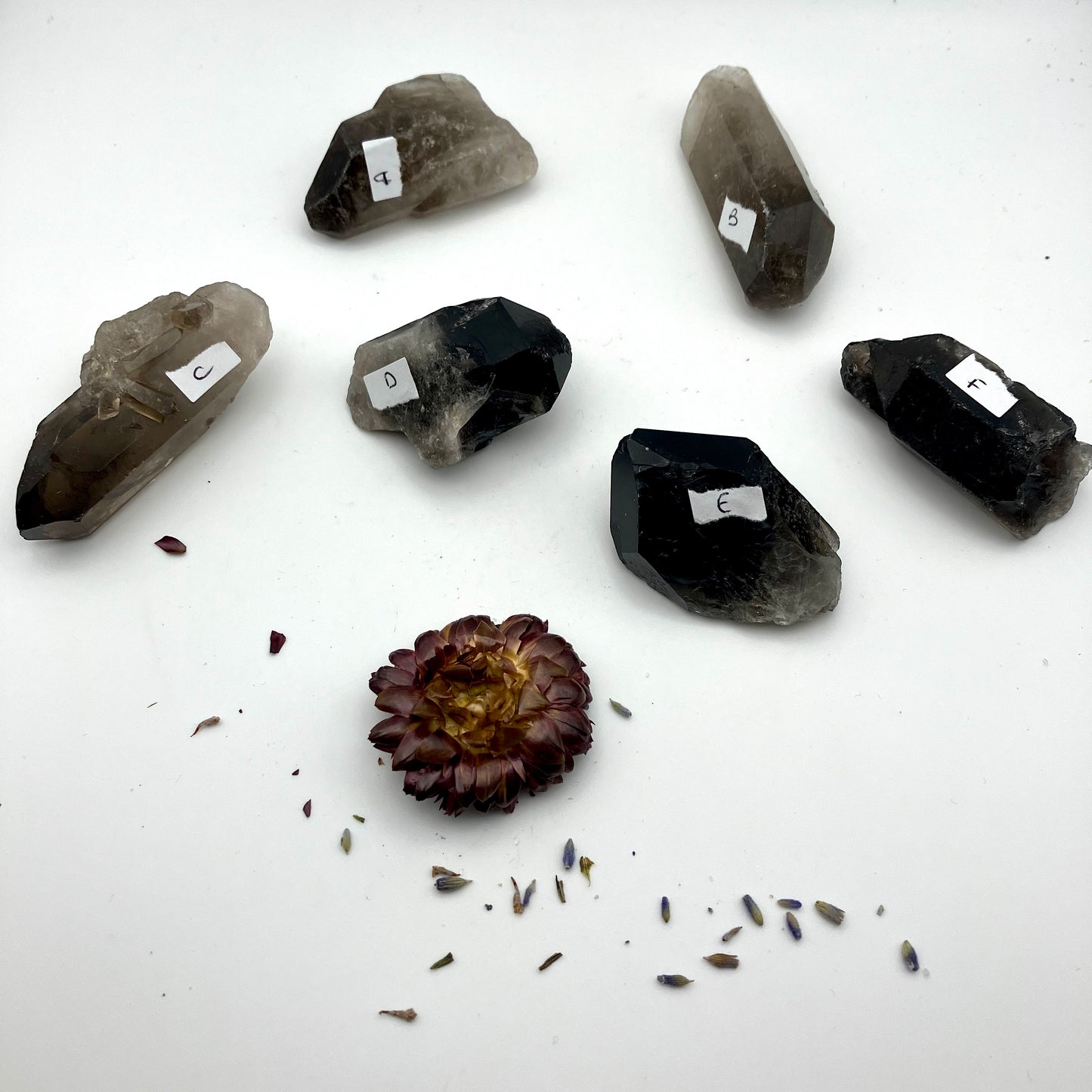 Very dark, natural Smoky Quartz points. 40-45 g 6 available