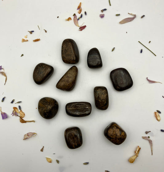 Bronzite Tumblestones / 2 sizes