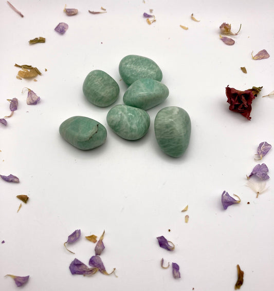 Amazonite Tumblestones