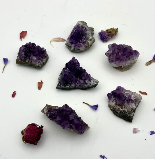 Amethyst Druze Clusters Small - high grade deep purple from Brazil