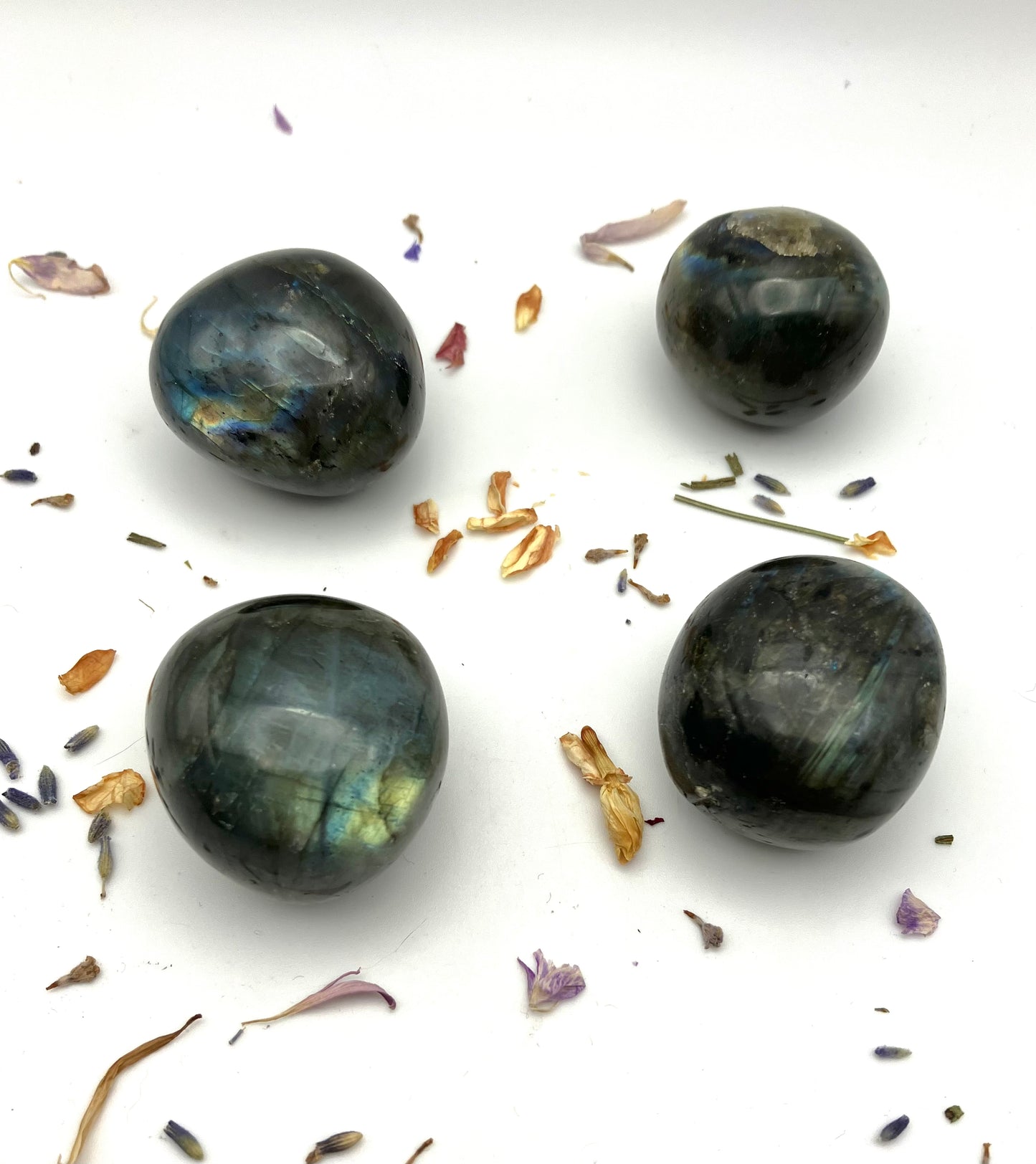 Flashy Labradorite Mini Boulders