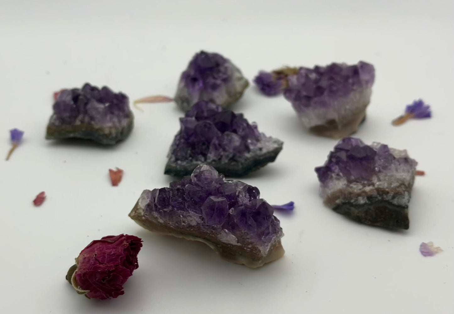 Amethyst Druze Clusters Small - high grade deep purple from Brazil