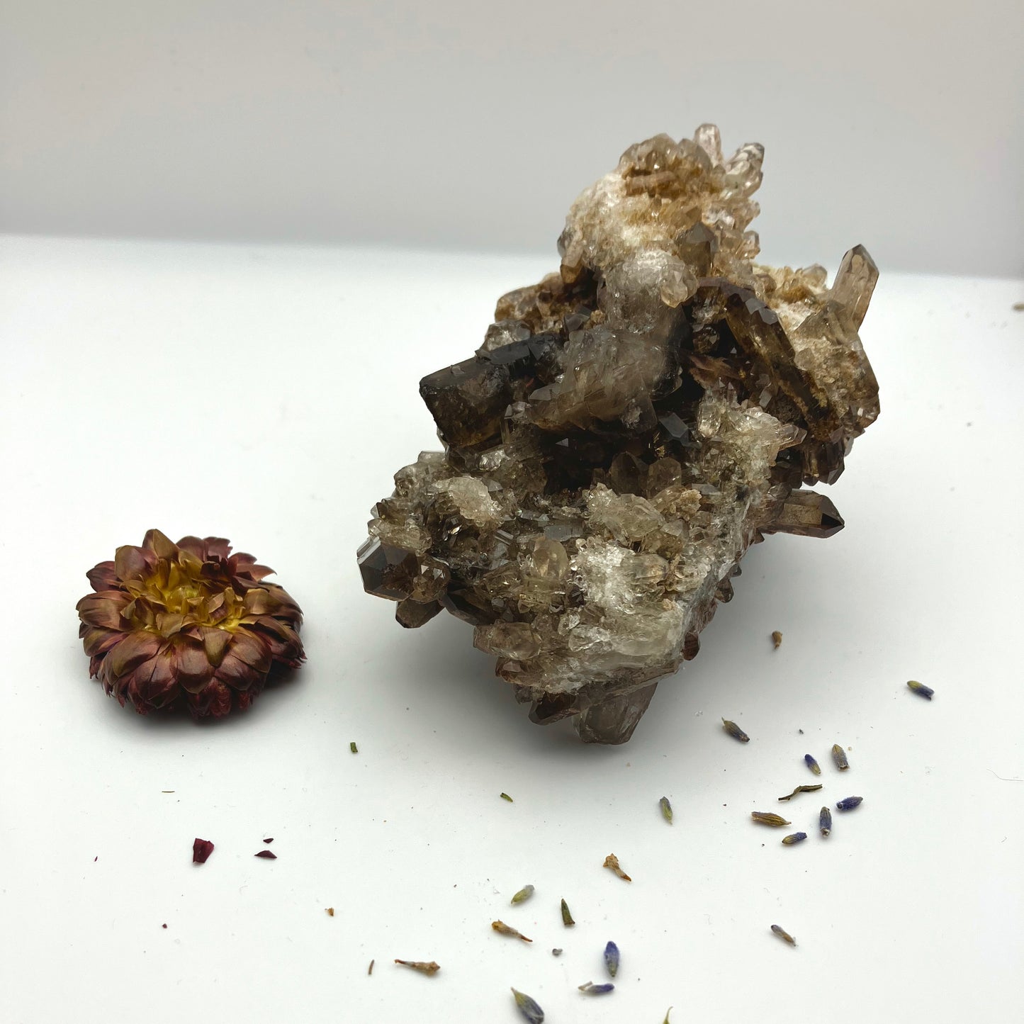 Large Smoky quartz cluster with lithium inclusions 412 g